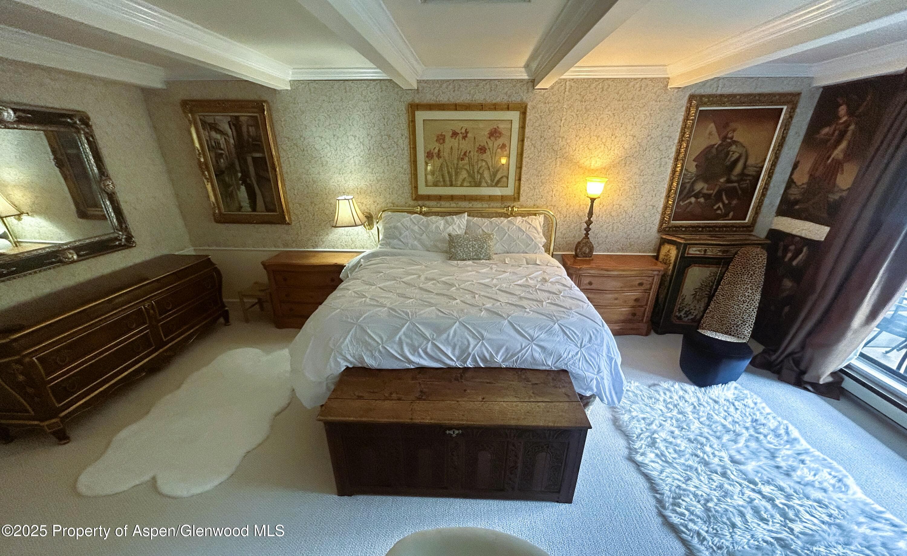 1007 E E Hyman Avenue Avenue 7, Aspen, CO 81611 - Photo 3
