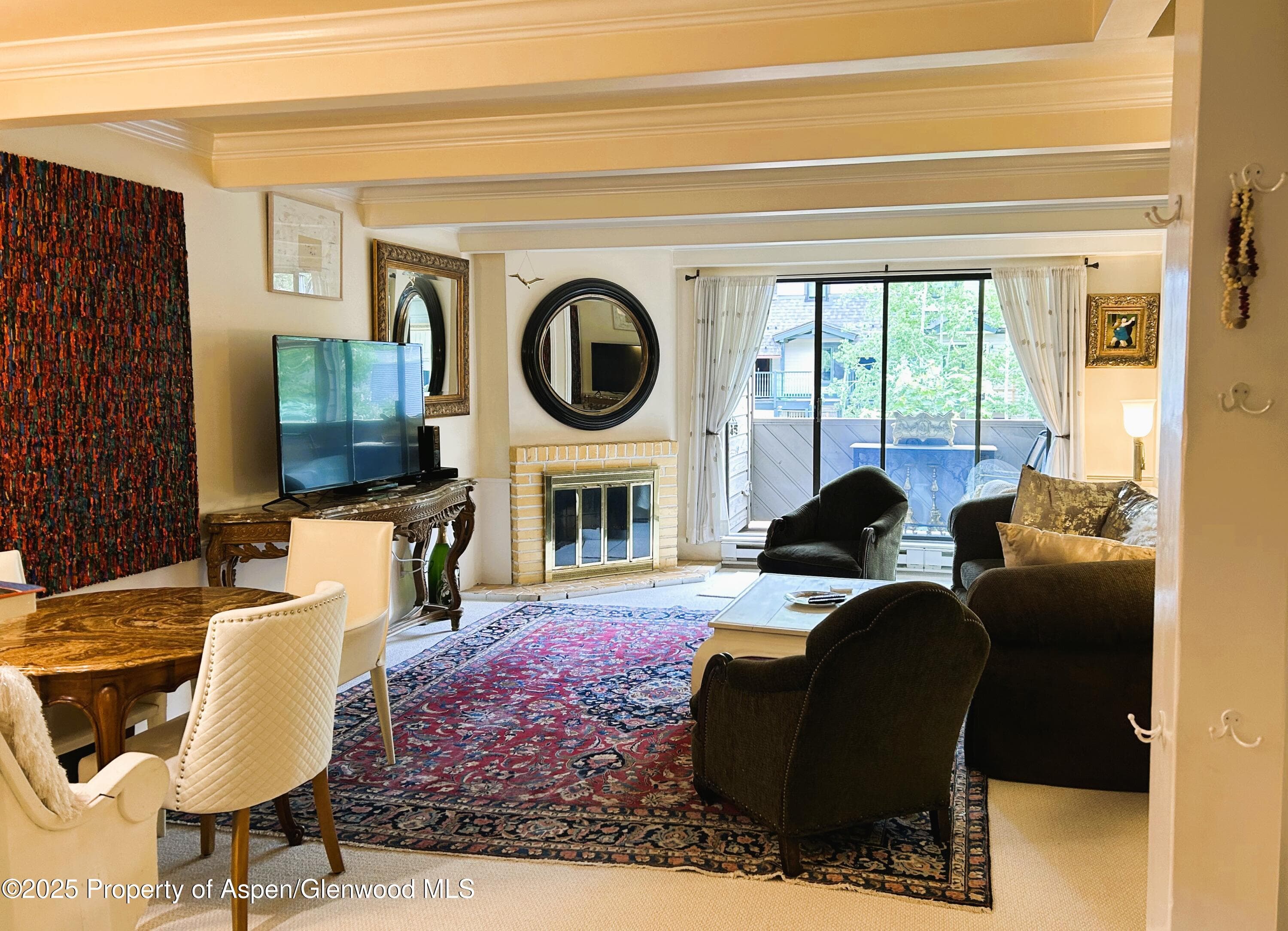 1007 E E Hyman Avenue Avenue 7, Aspen, CO 81611 - Photo 4