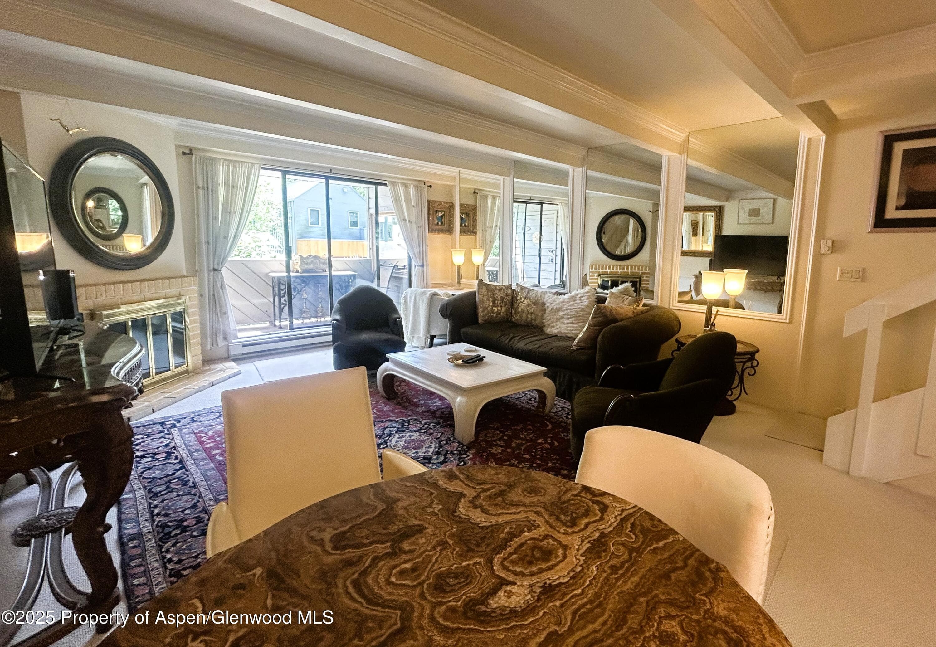 1007 E E Hyman Avenue Avenue 7, Aspen, CO 81611 - Photo 6