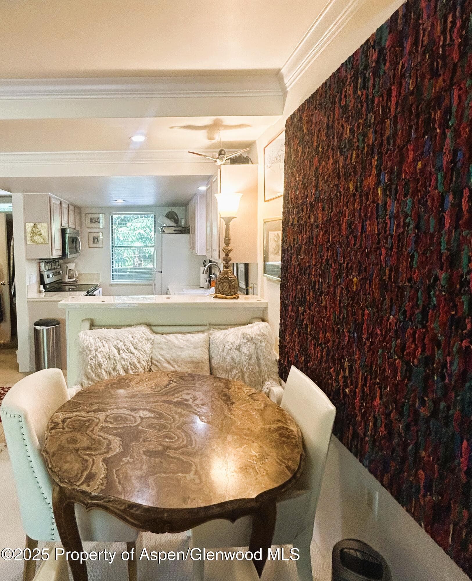 1007 E E Hyman Avenue Avenue 7, Aspen, CO 81611 - Photo 7