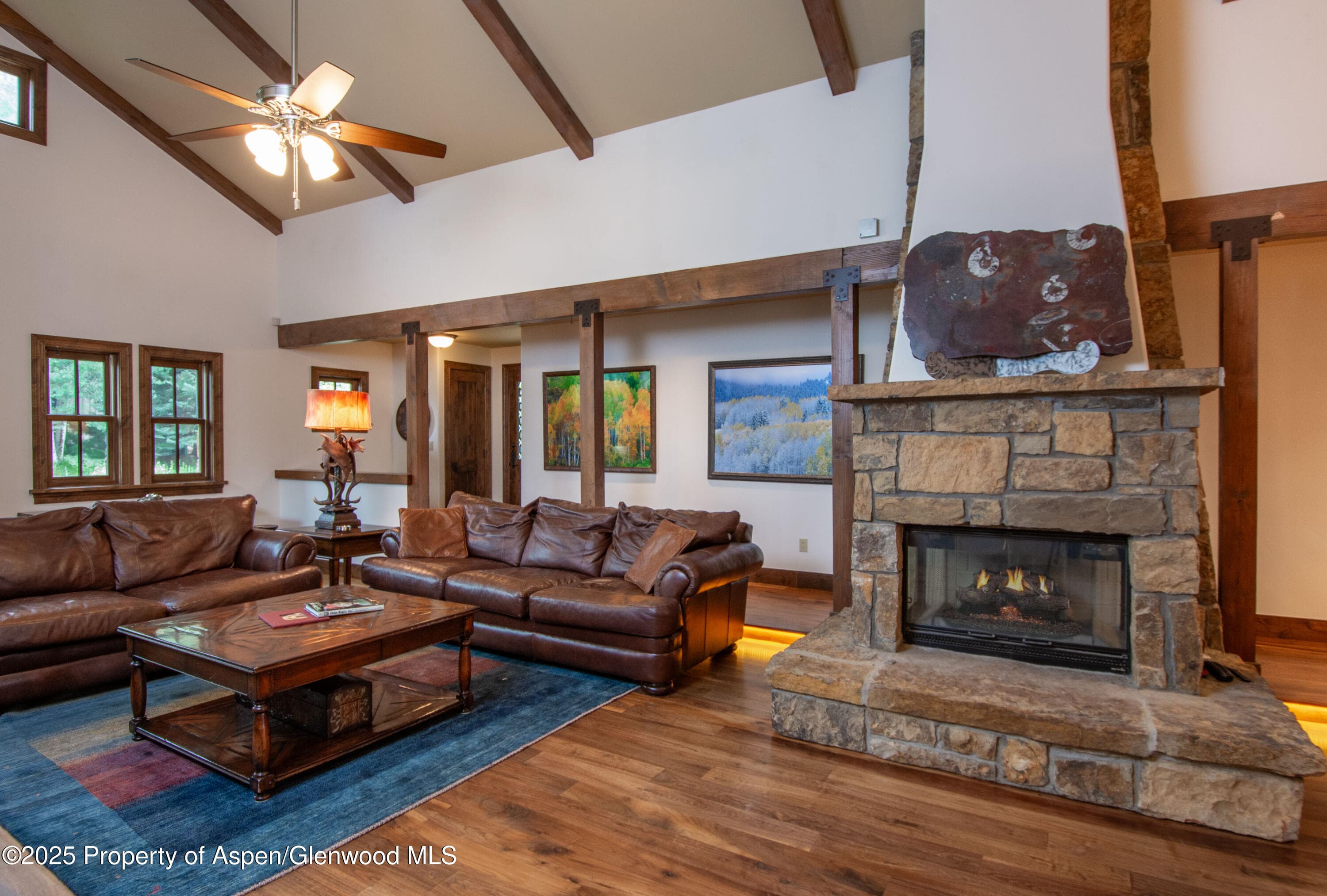 900 Bald Eagle Way, Carbondale, CO 81623 - Photo 5