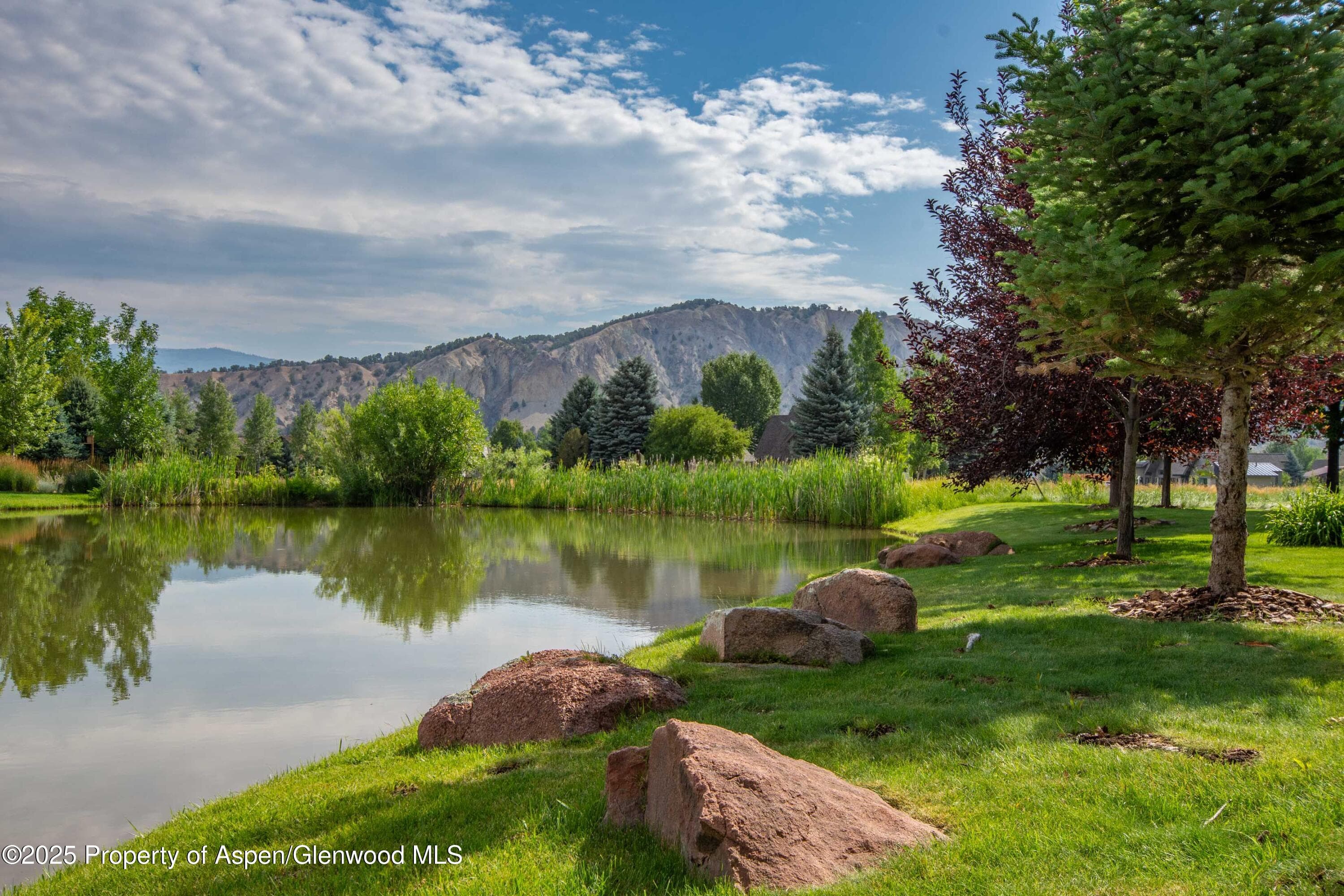900 Bald Eagle Way, Carbondale, CO 81623 - Photo 17