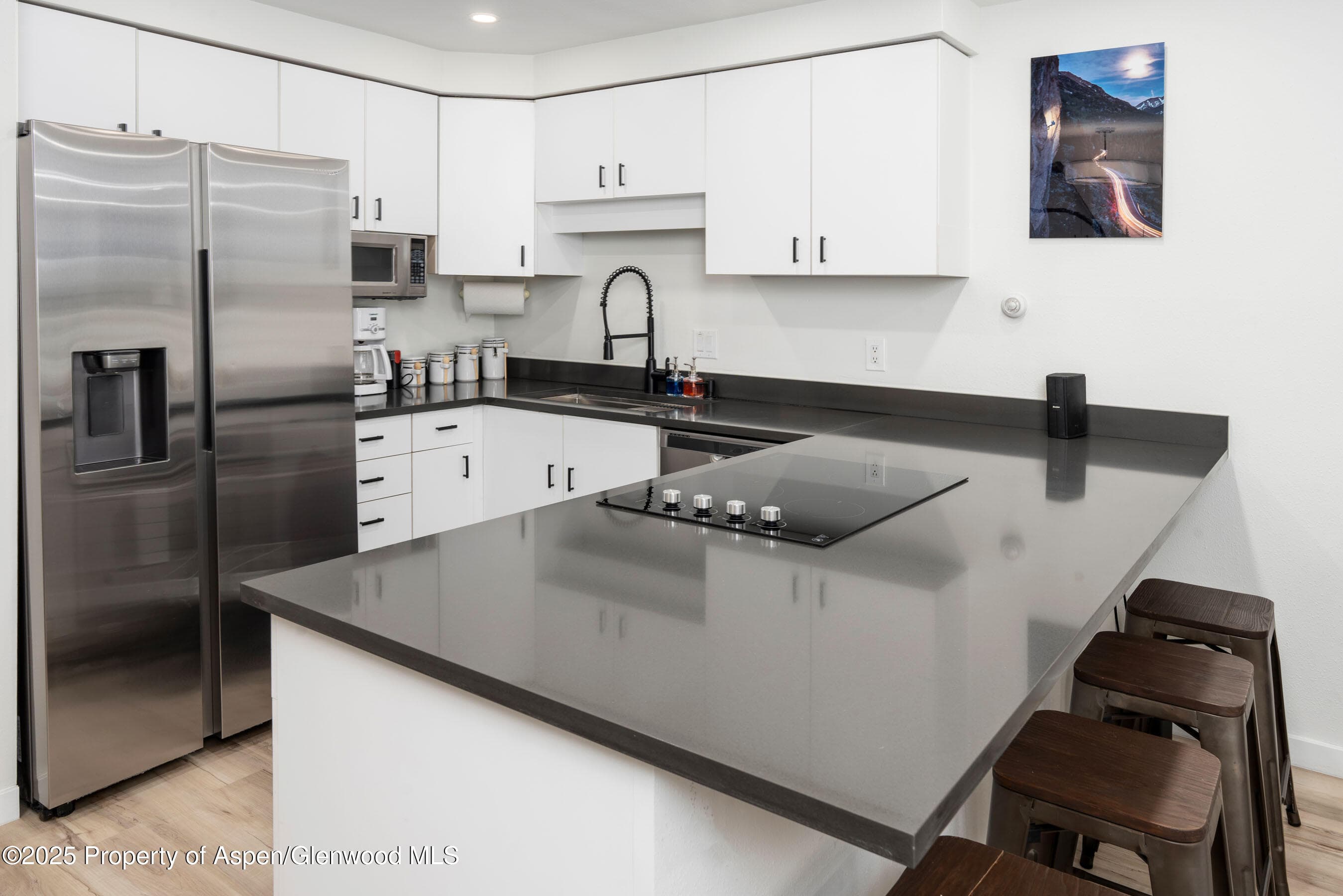 100 E Dean Street Unit 1-D, Aspen, CO 81611 - Photo 8