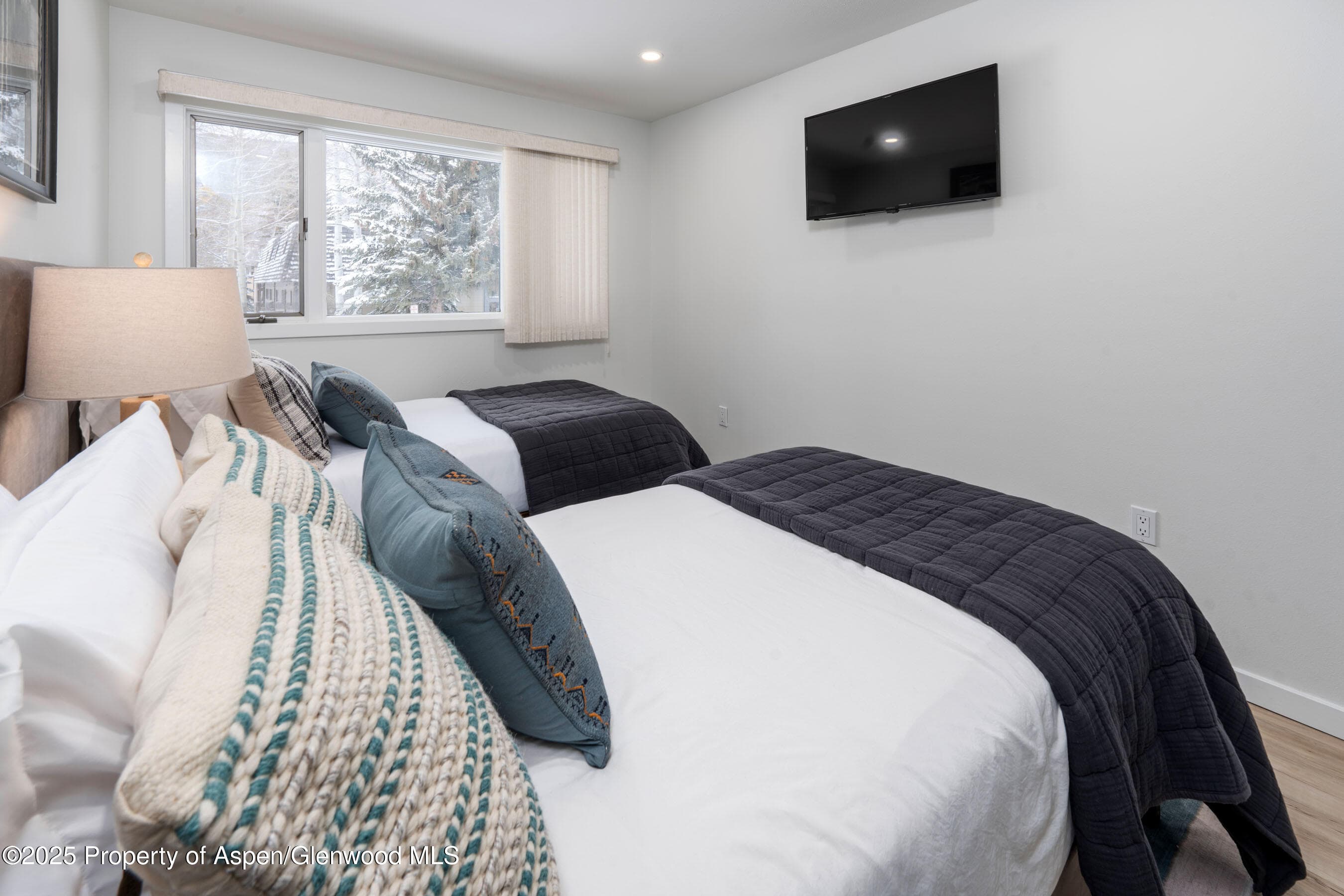 100 E Dean Street Unit 1-D, Aspen, CO 81611 - Photo 16