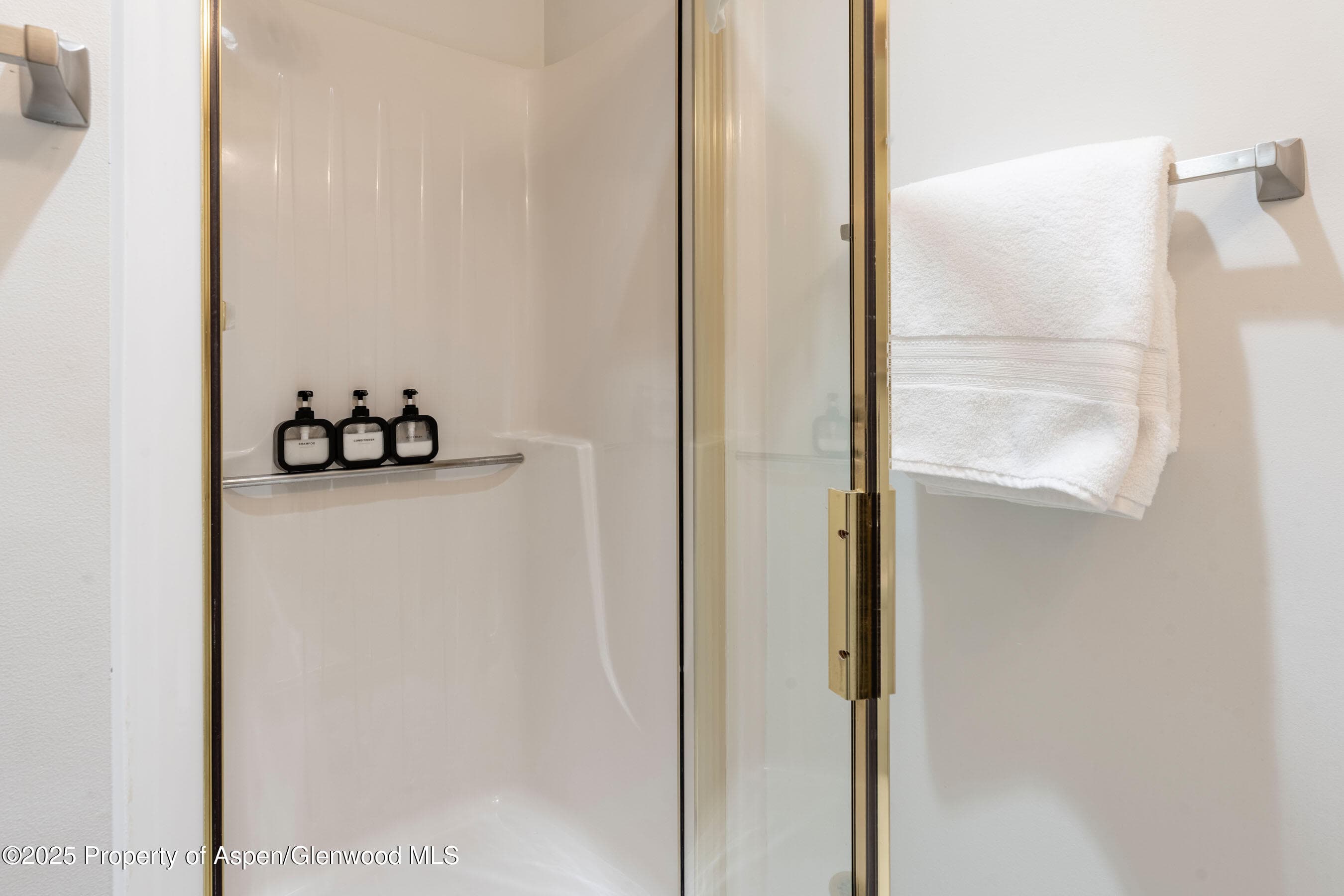 100 E Dean Street Unit 1-D, Aspen, CO 81611 - Photo 21