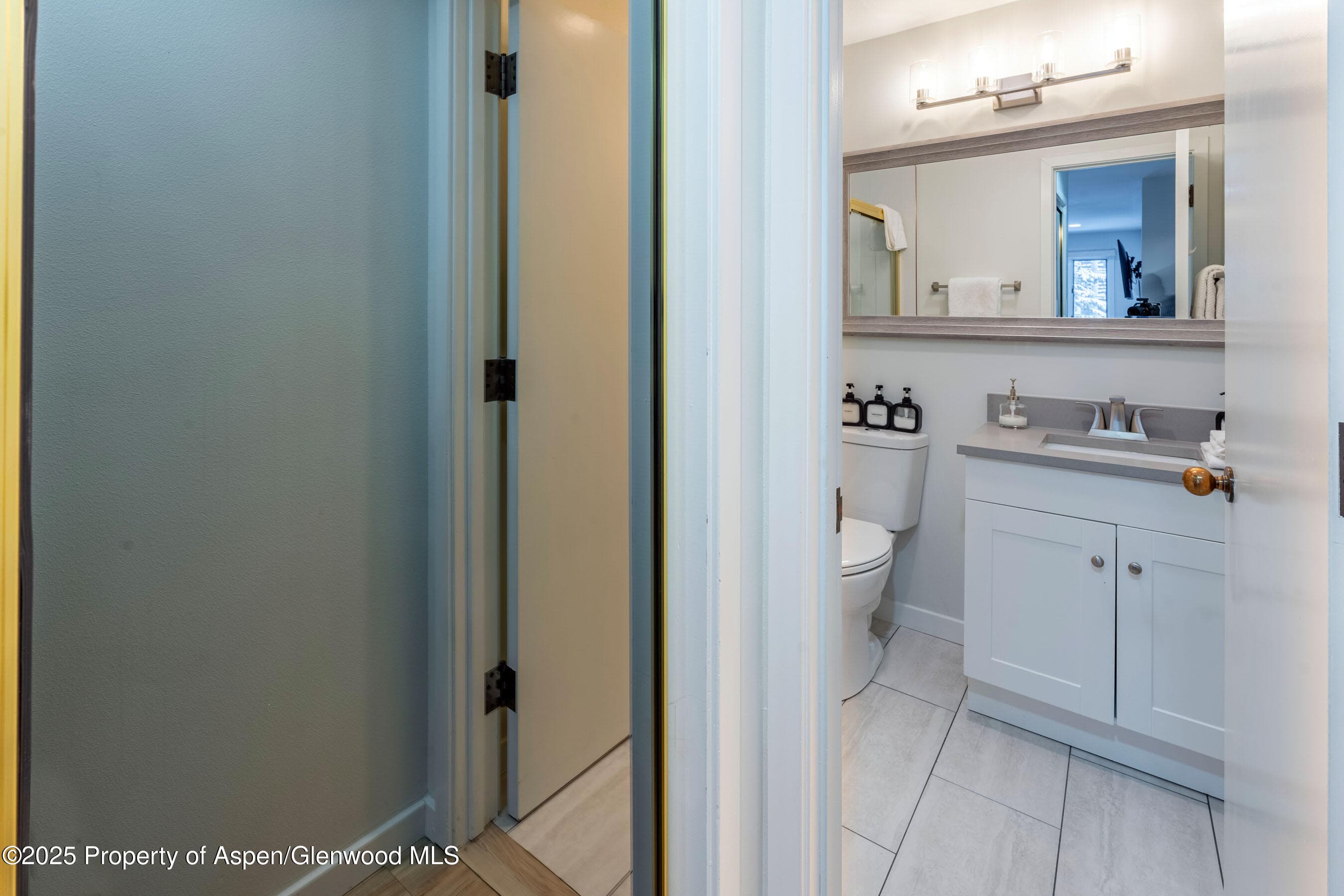 100 E Dean Street Unit 1-D, Aspen, CO 81611 - Photo 19