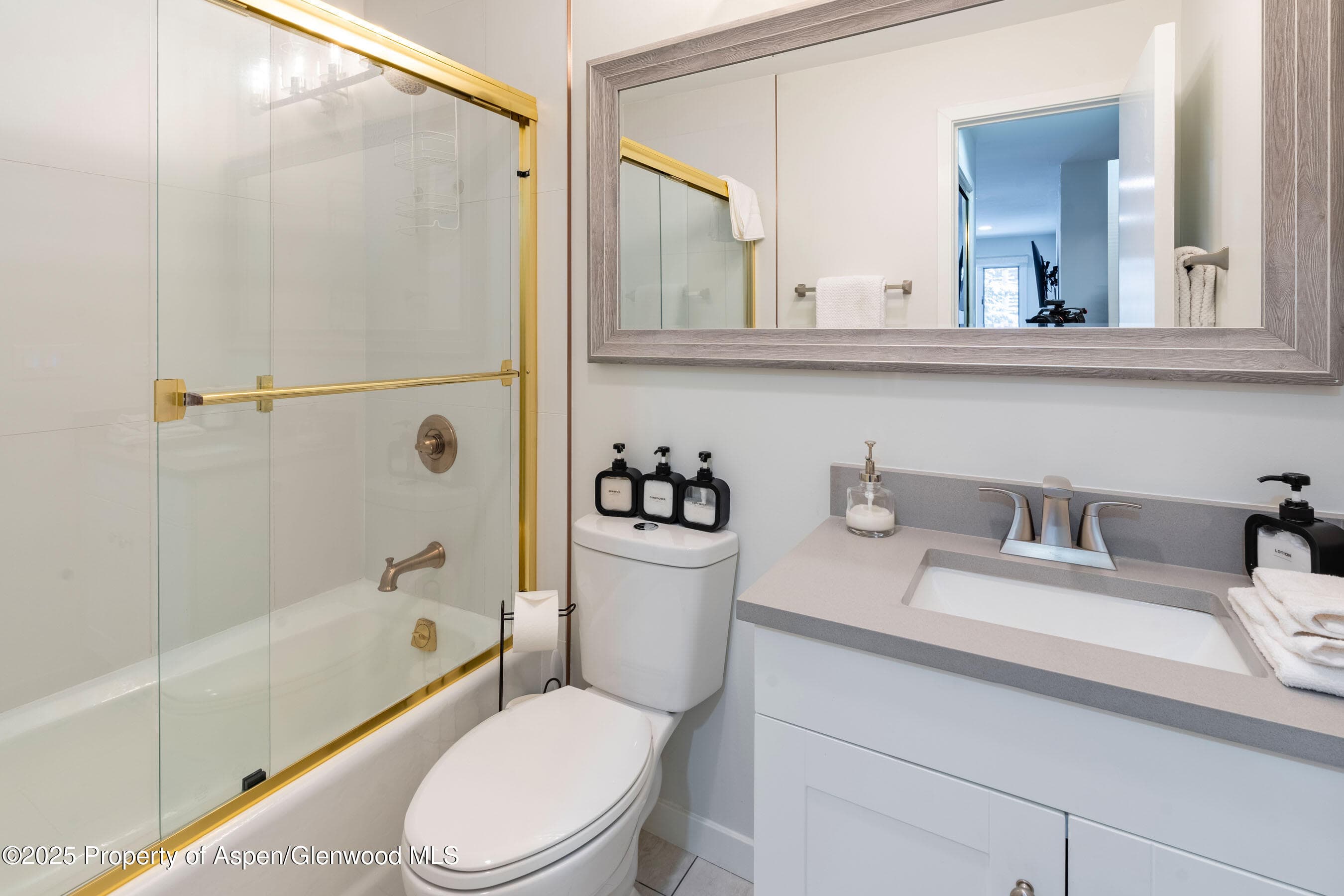 100 E Dean Street Unit 1-D, Aspen, CO 81611 - Photo 18