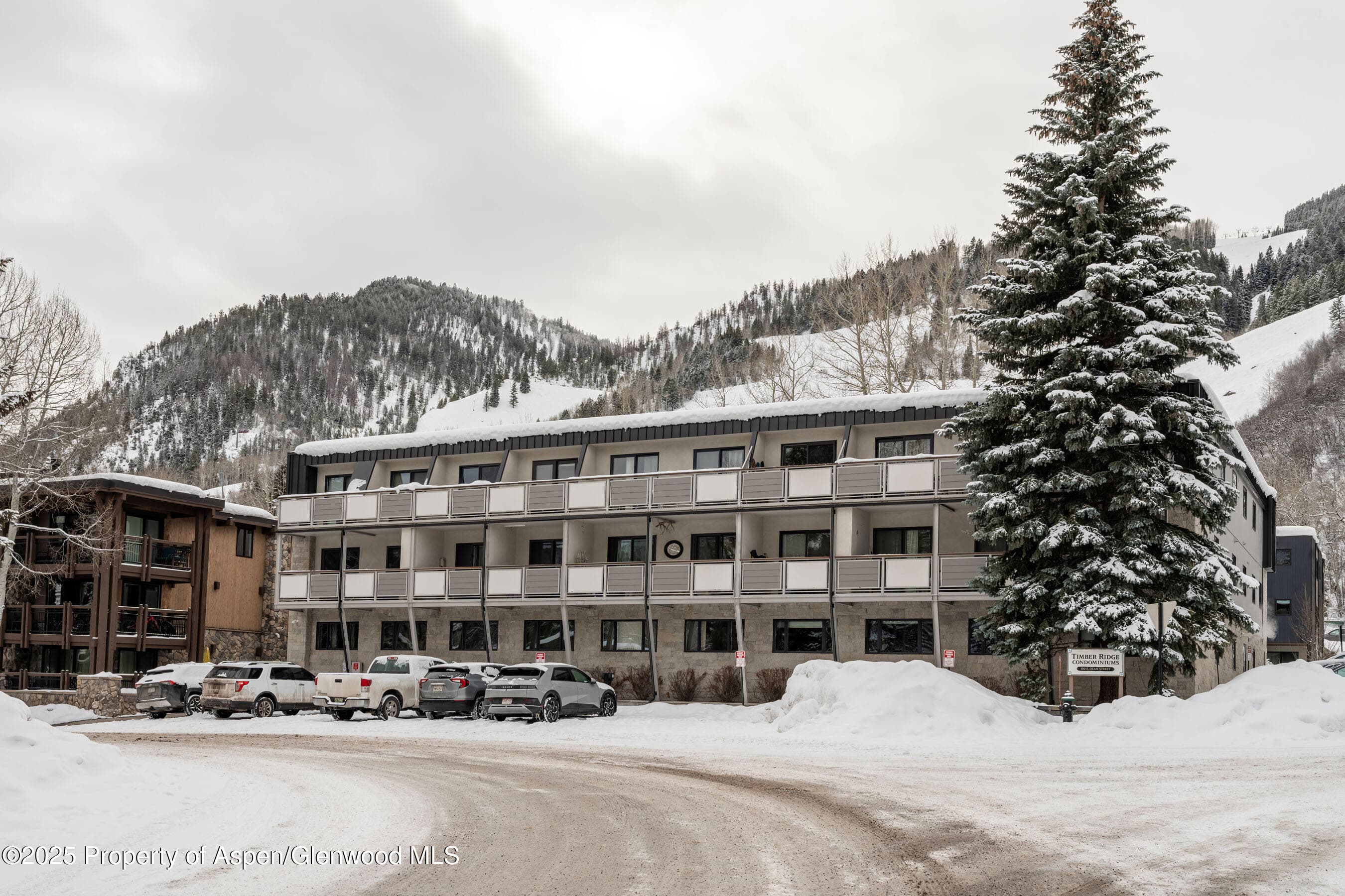 100 E Dean Street Unit 1-D, Aspen, CO 81611 - Photo 24