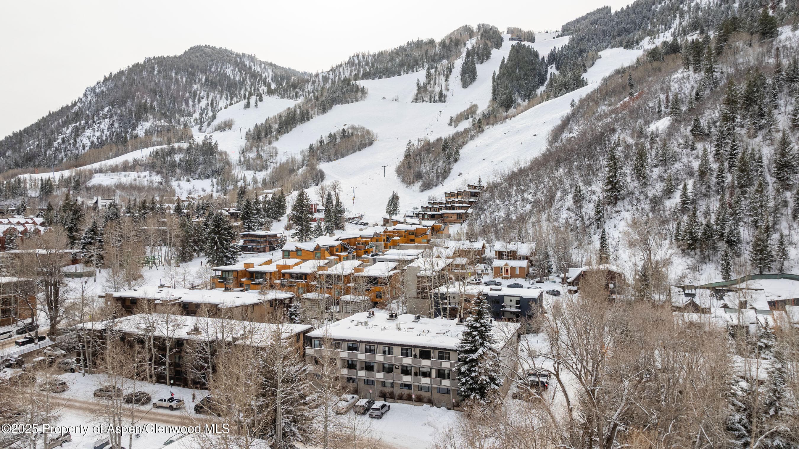 100 E Dean Street Unit 1-D, Aspen, CO 81611 - Photo 25