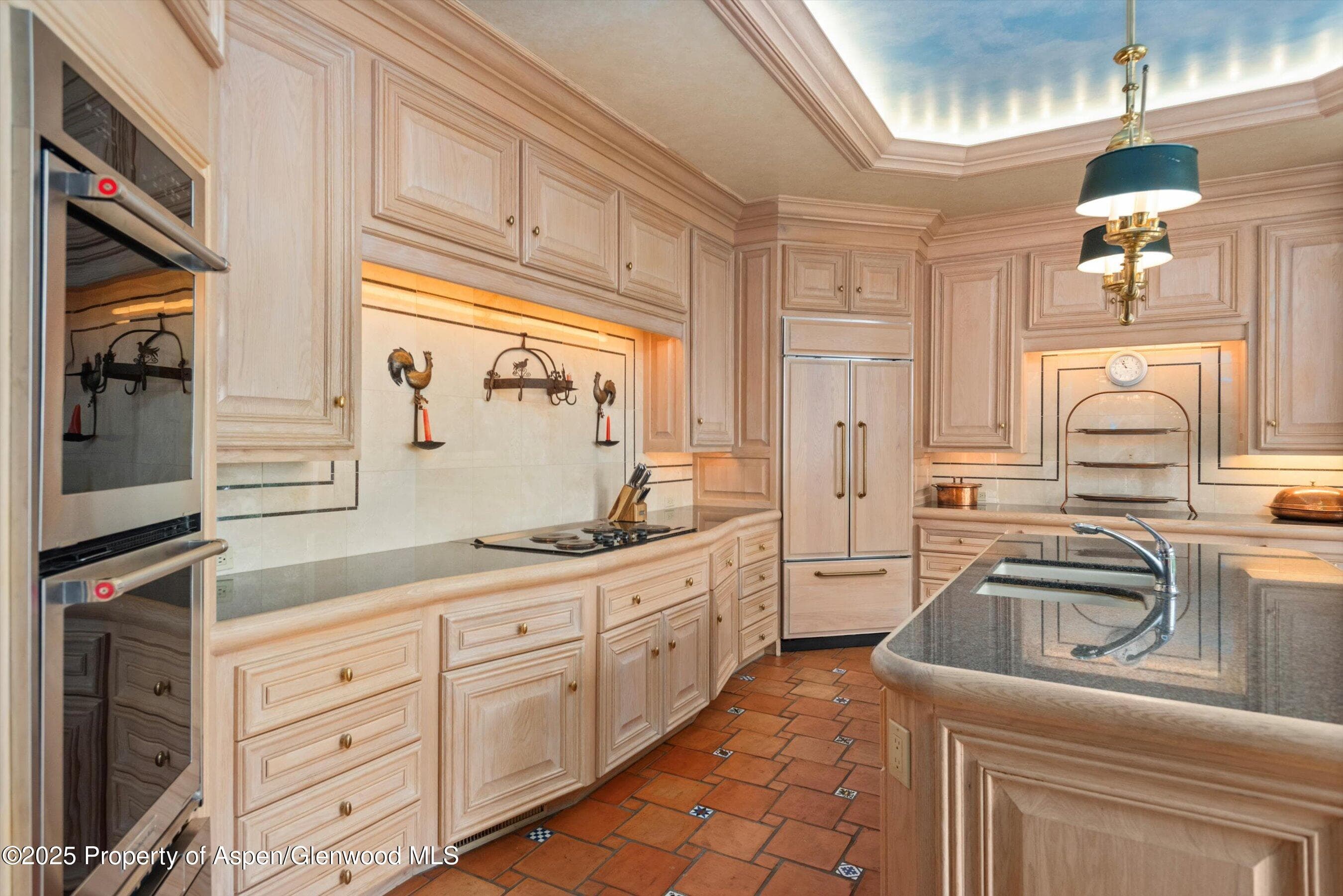 425 W North Street, Aspen, CO 81611 - Photo 6