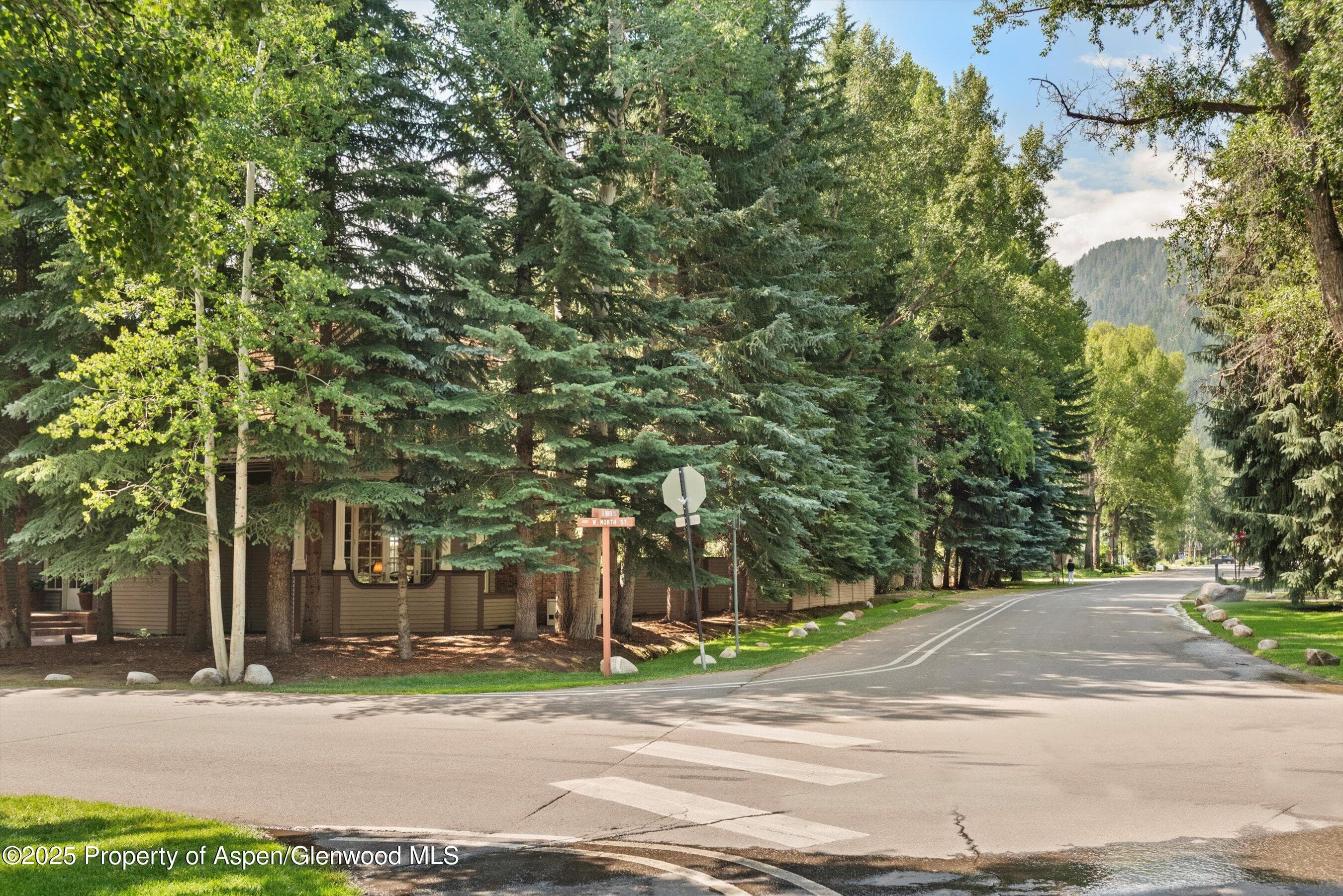 425 W North Street, Aspen, CO 81611 - Photo 28
