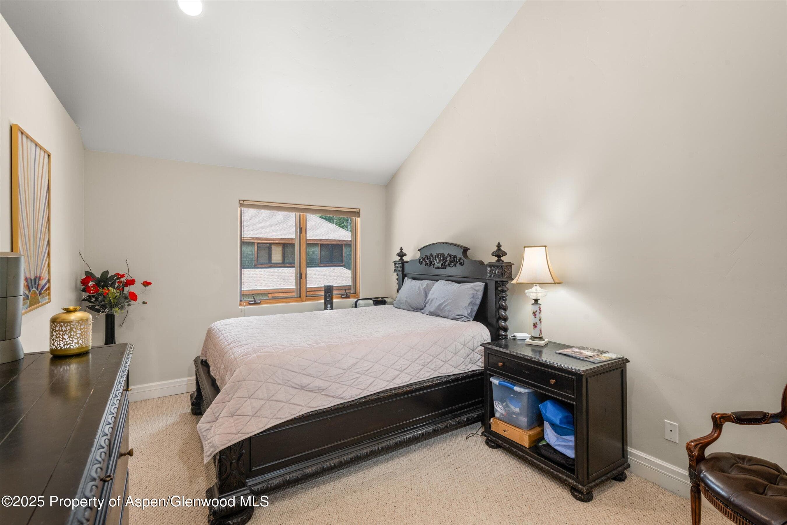 315 Summerset Lane A, Basalt, CO 81621 - Photo 12