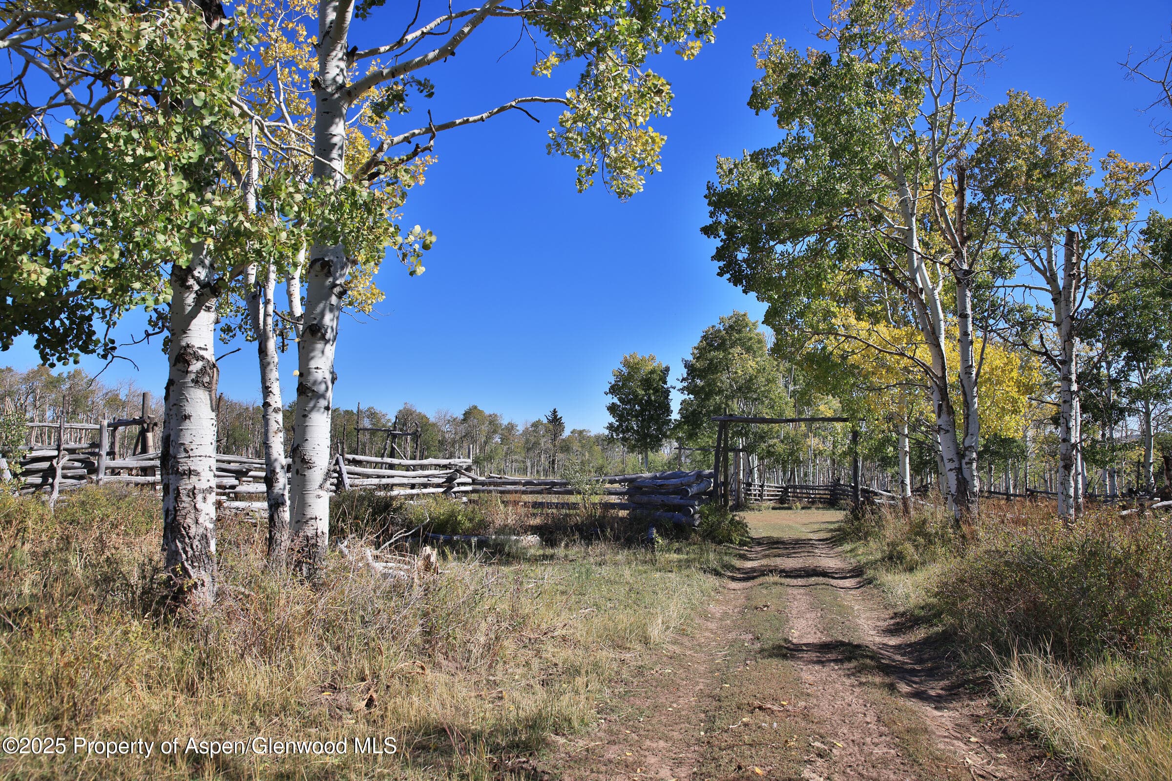 TBD Divide Road Entire Package, Whitewater, CO 81527 - Photo 4