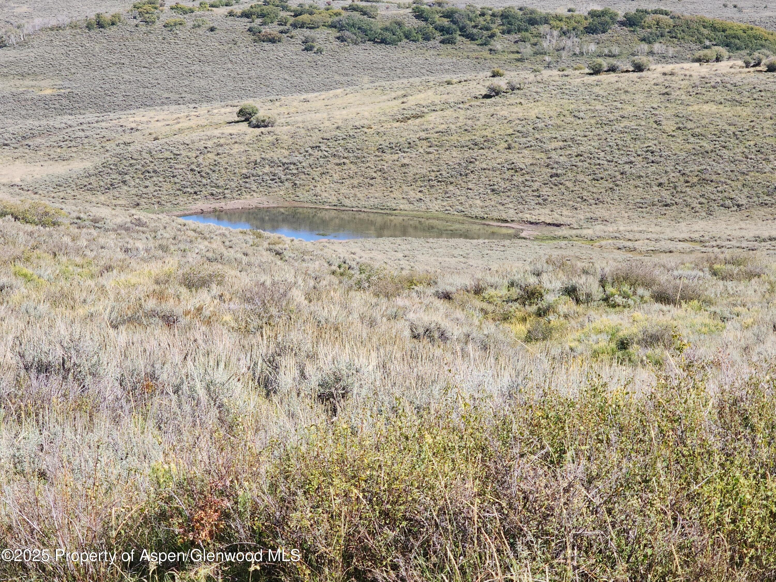TBD Divide (Mont's Draw) Road, Gateway, CO 81522 - Photo 2