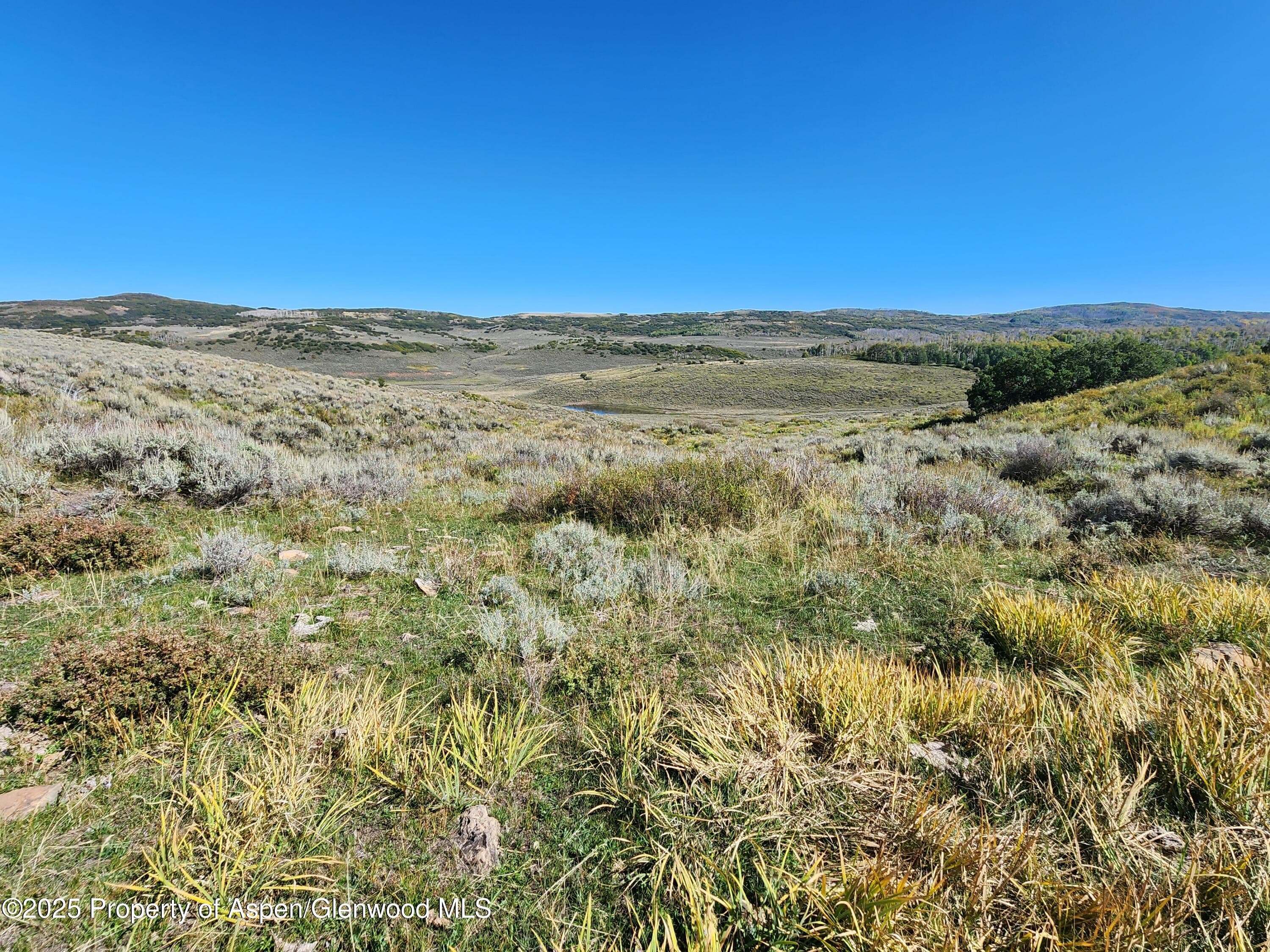 TBD Divide (Mont's Draw) Road, Gateway, CO 81522 - Photo 3