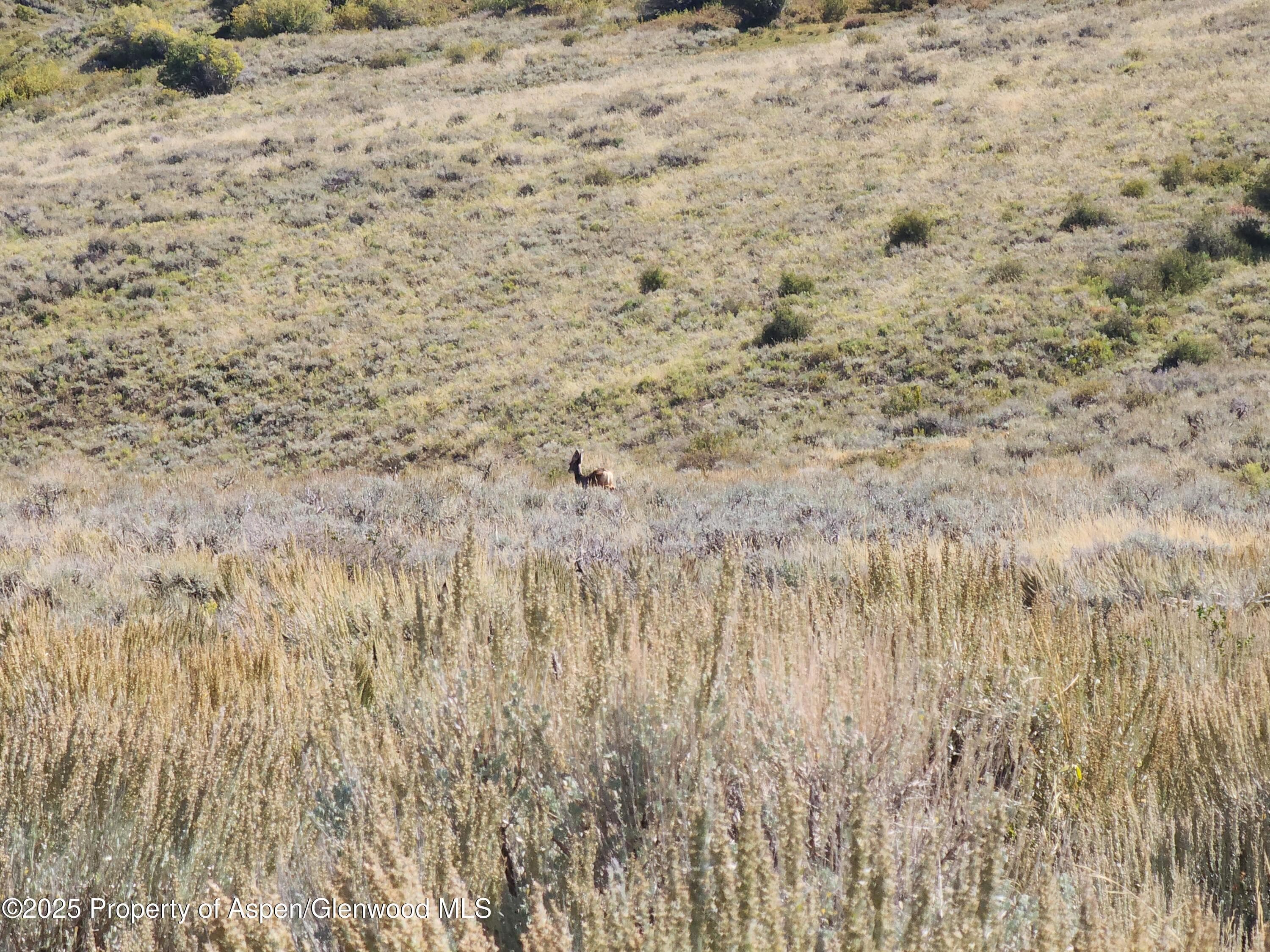 TBD Divide (Mont's Draw) Road, Gateway, CO 81522 - Photo 5
