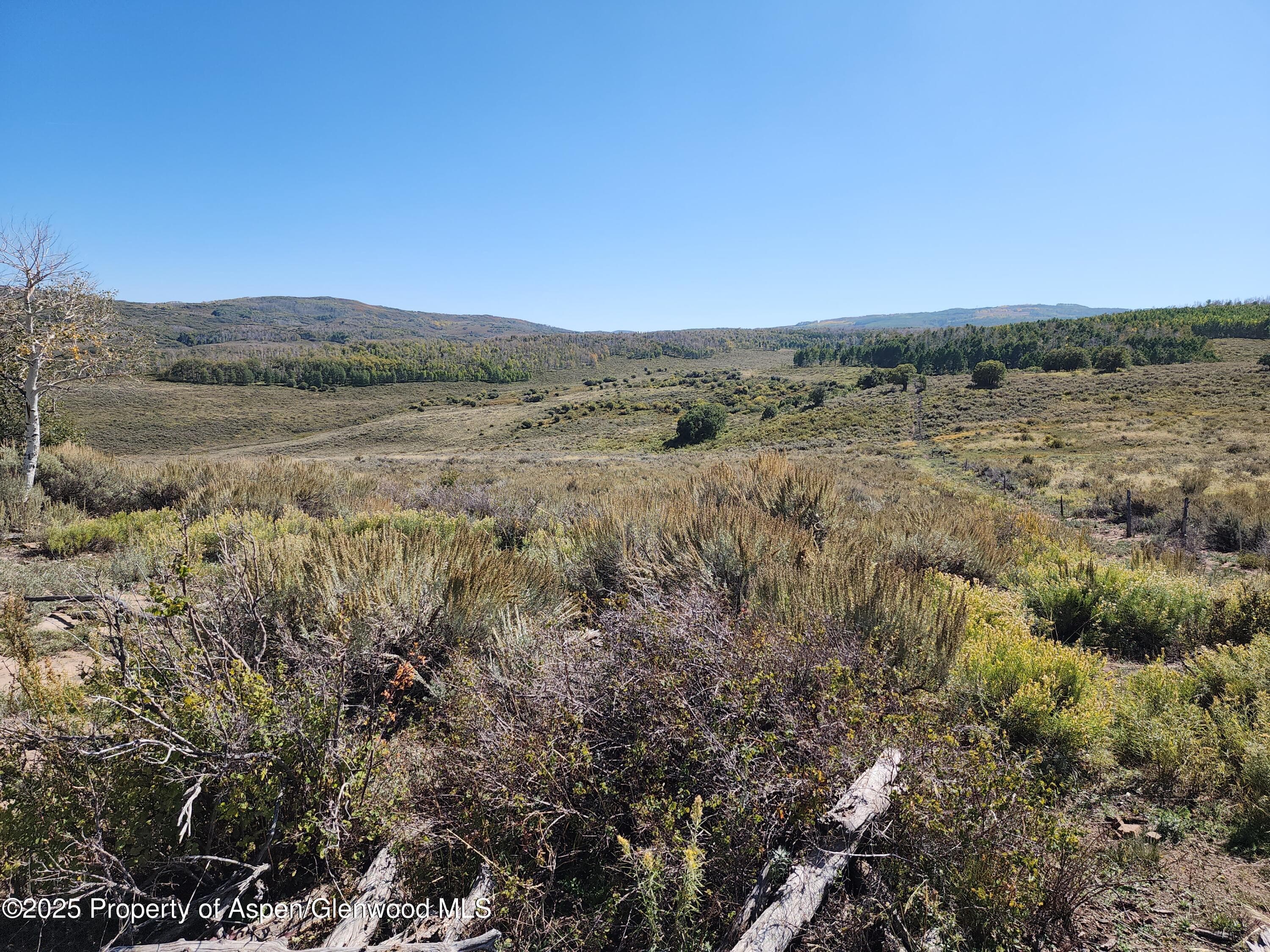TBD Divide (Mont's Draw) Road, Gateway, CO 81522 - Photo 6