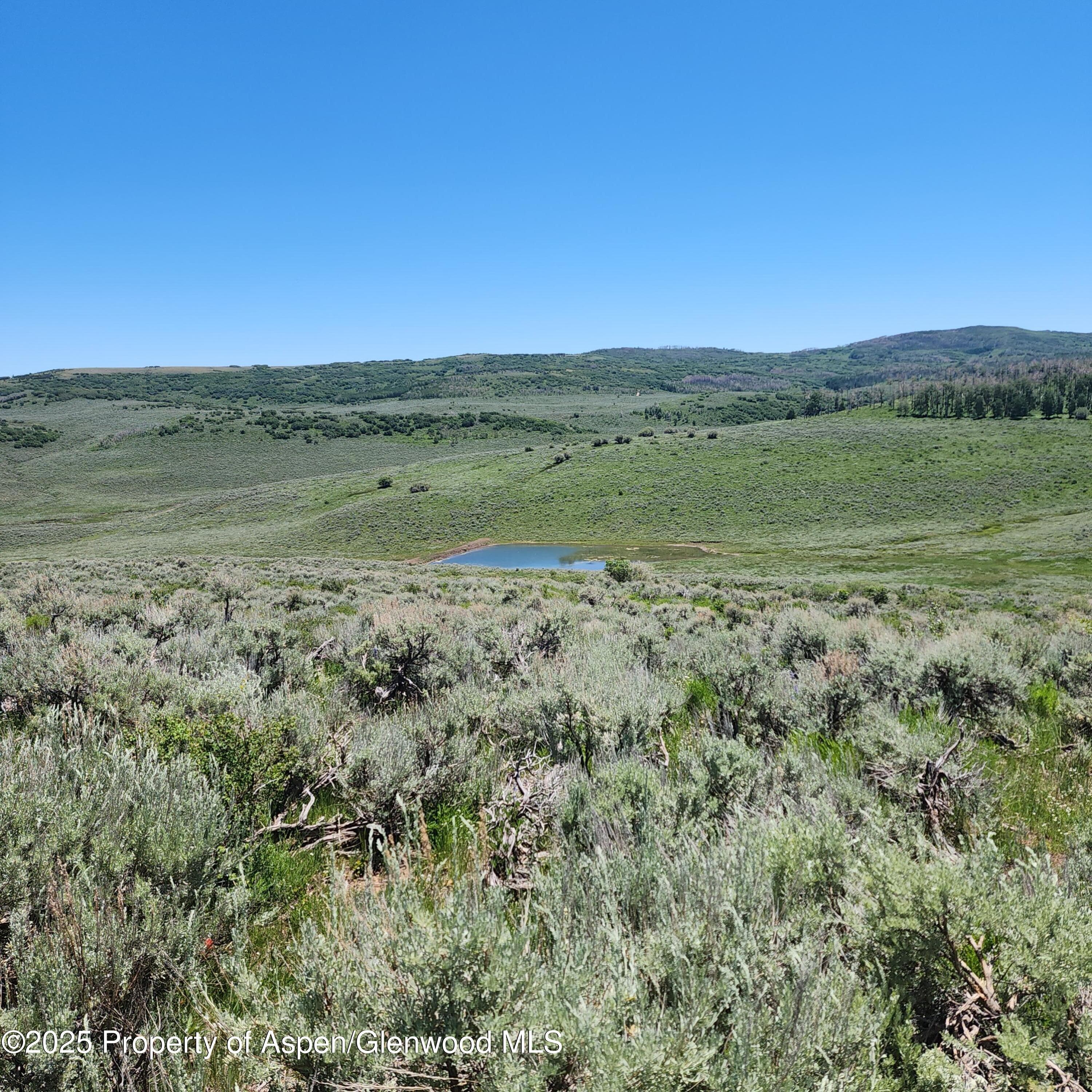 TBD Divide (Mont's Draw) Road, Gateway, CO 81522 - Photo 4