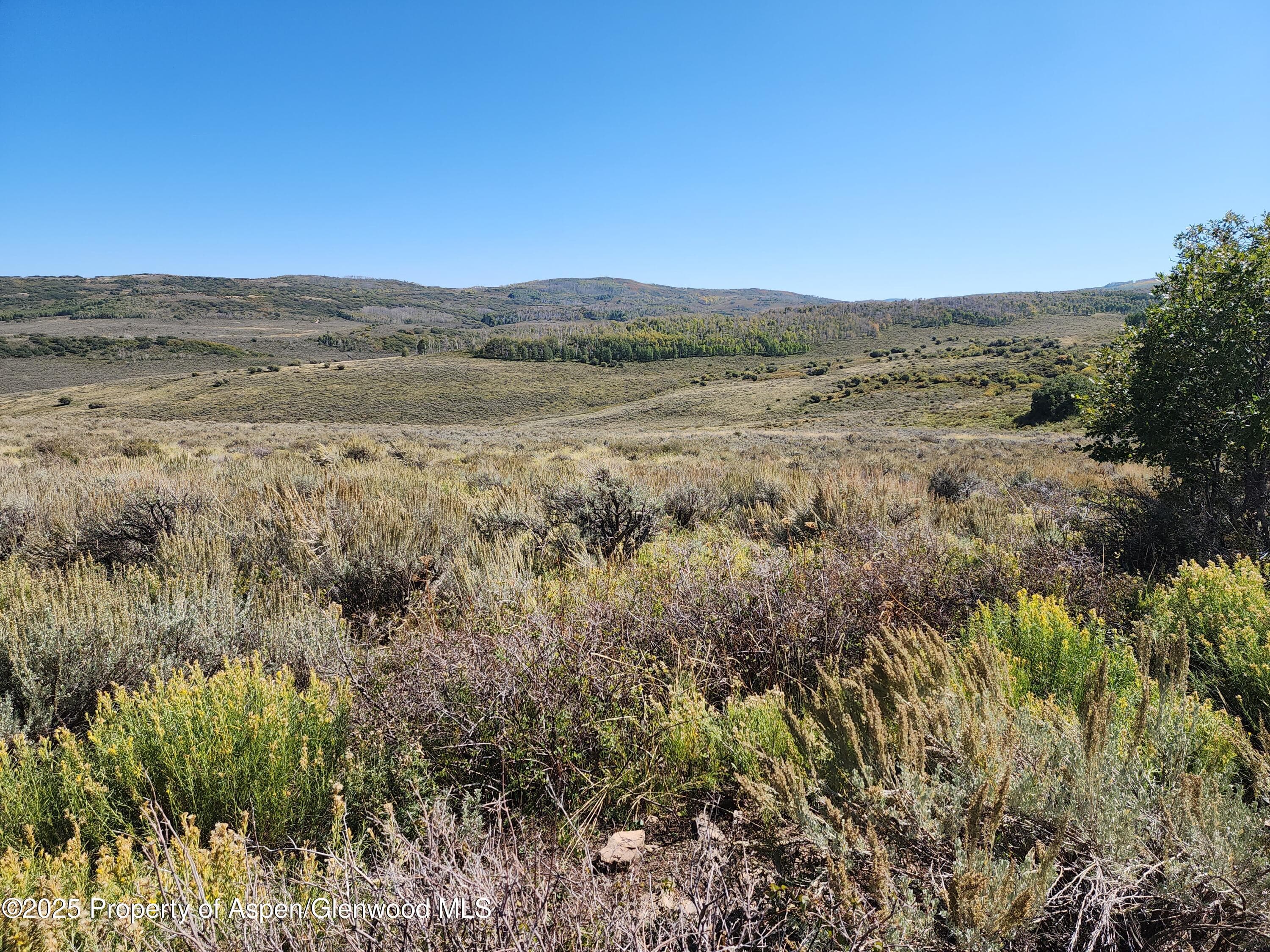 TBD Divide (Mont's Draw) Road, Gateway, CO 81522 - Photo 7
