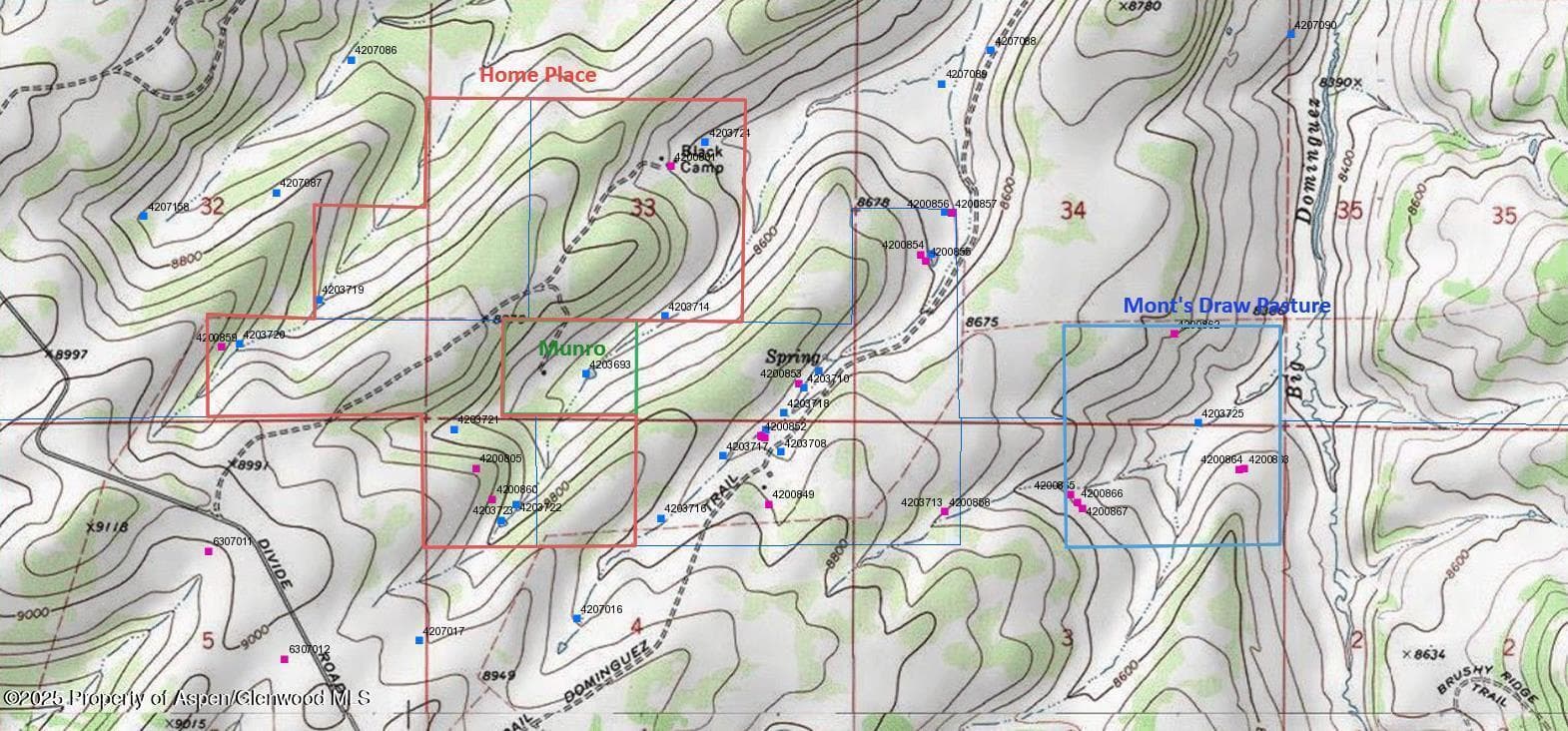 TBD Divide (Mont's Draw) Road, Gateway, CO 81522 - Photo 10