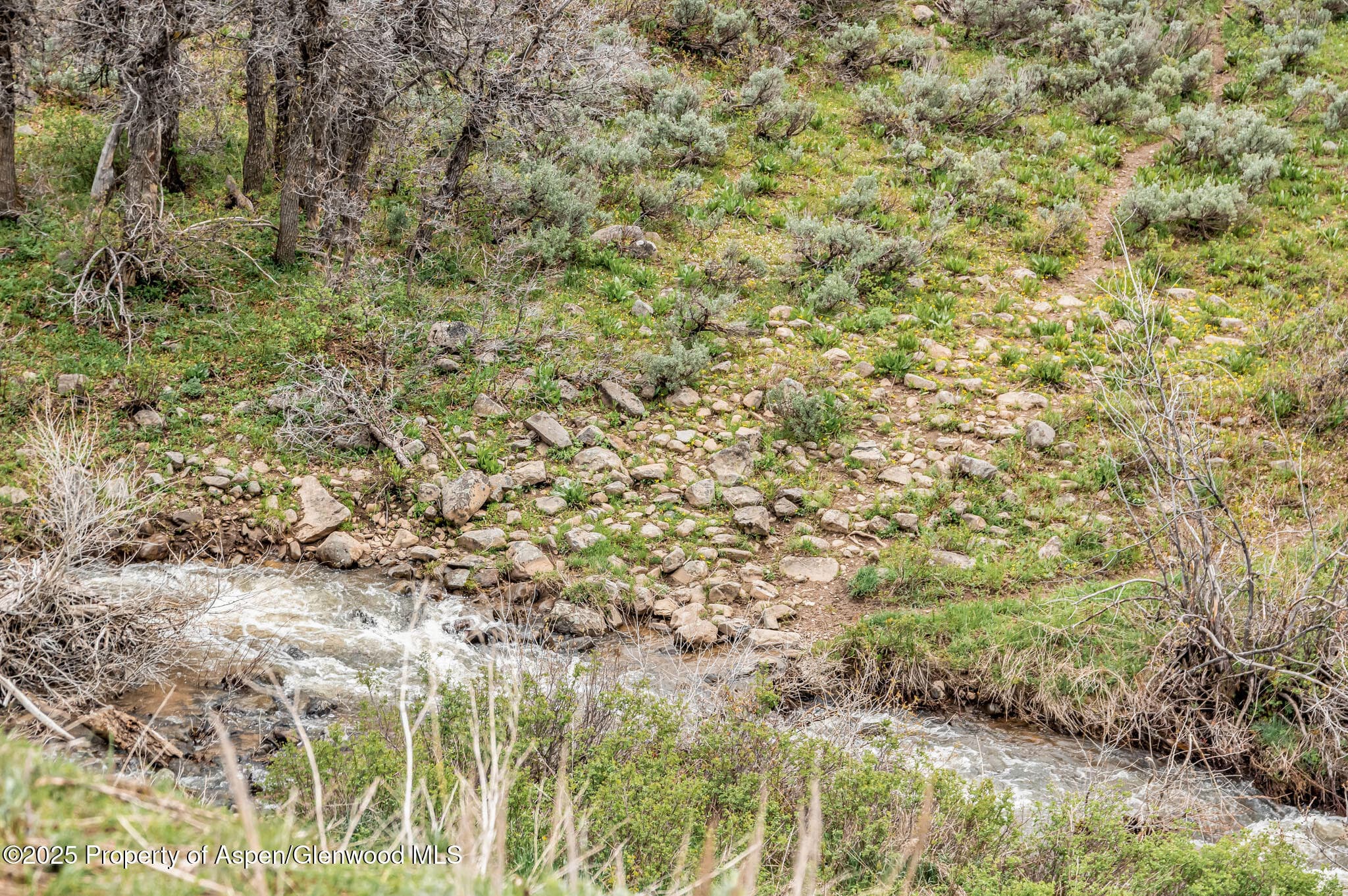 Tbd County Road 80, Hayden, CO 81639 - Photo 2