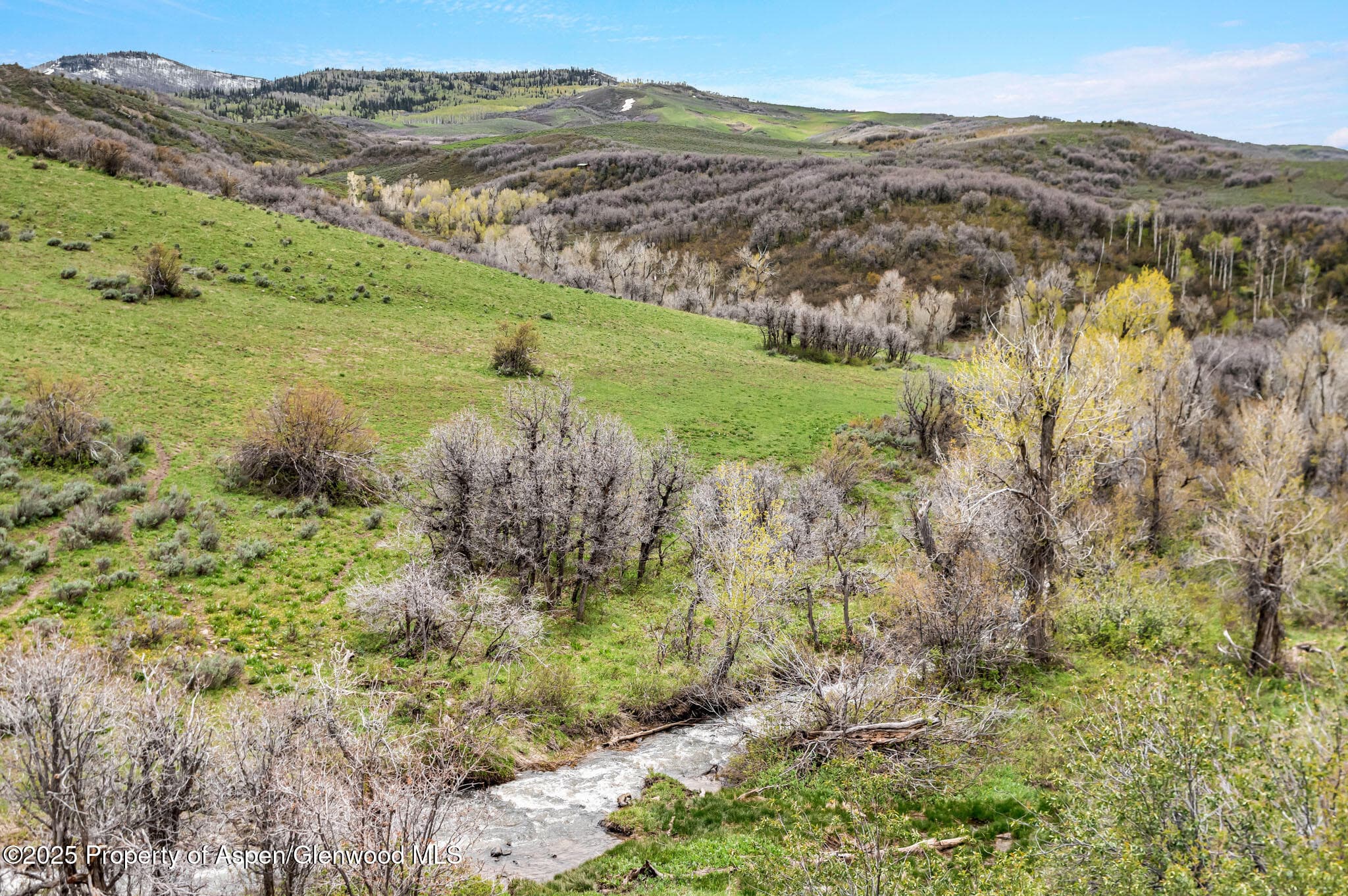 Tbd County Road 80, Hayden, CO 81639 - Photo 3