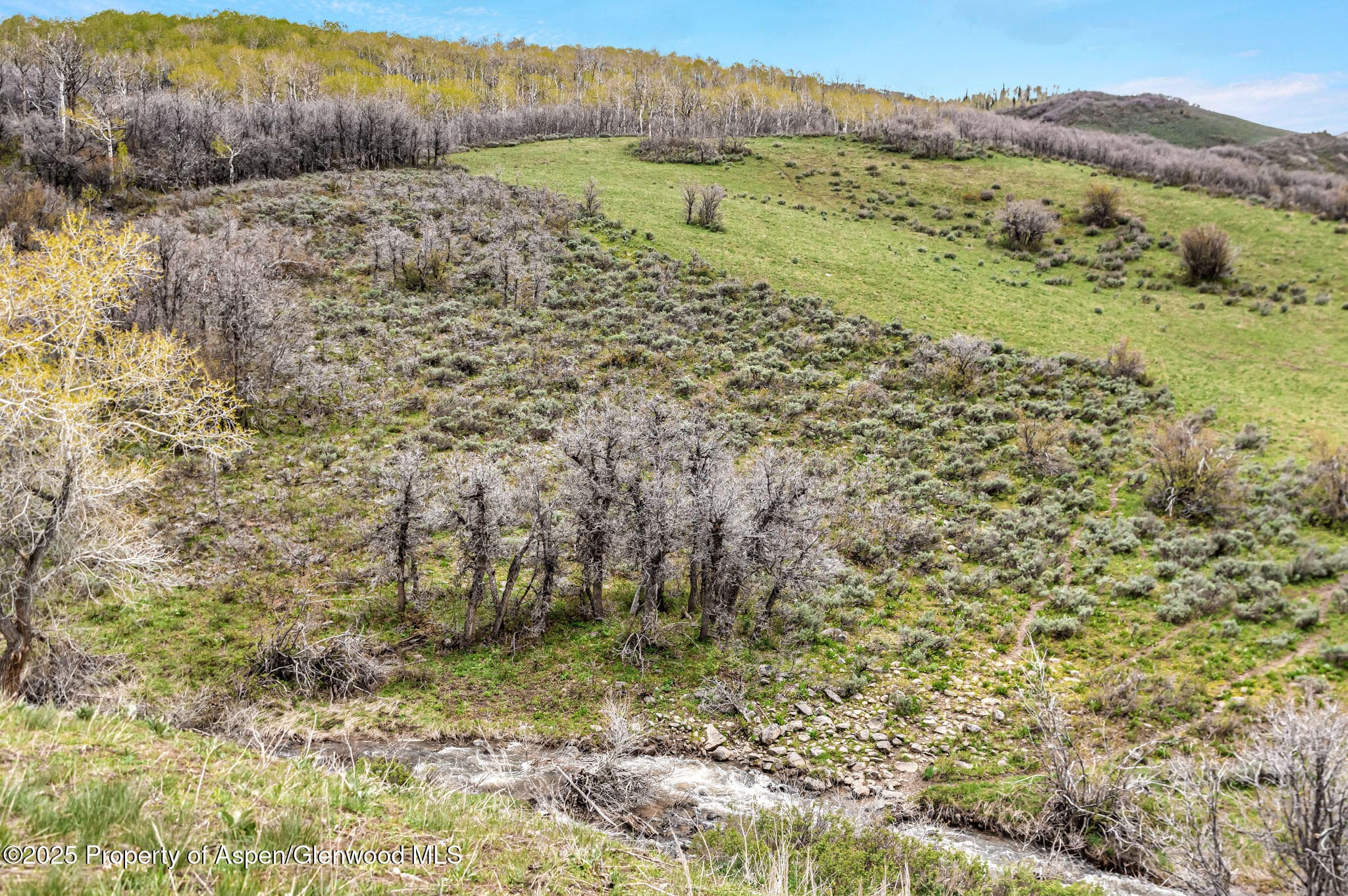 Tbd County Road 80, Hayden, CO 81639 - Photo 4