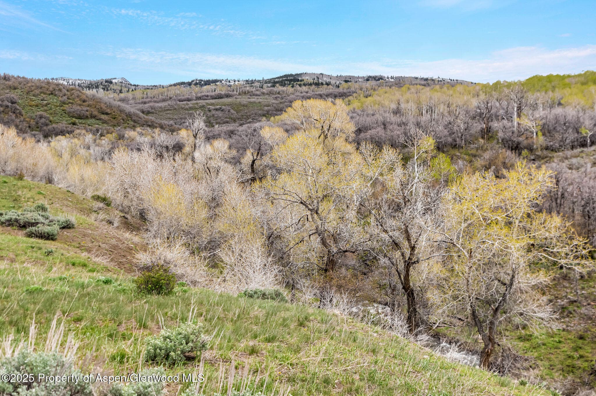 Tbd County Road 80, Hayden, CO 81639 - Photo 13