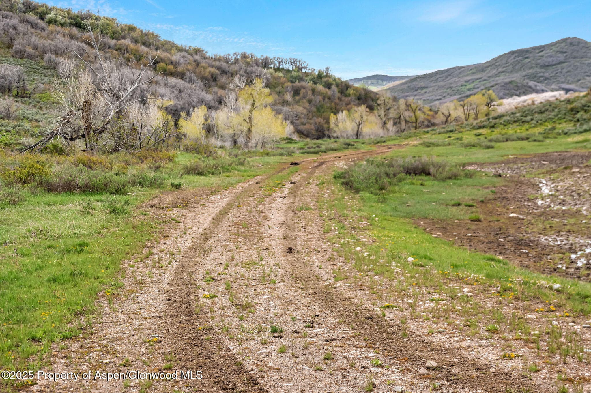 Tbd County Road 80, Hayden, CO 81639 - Photo 5