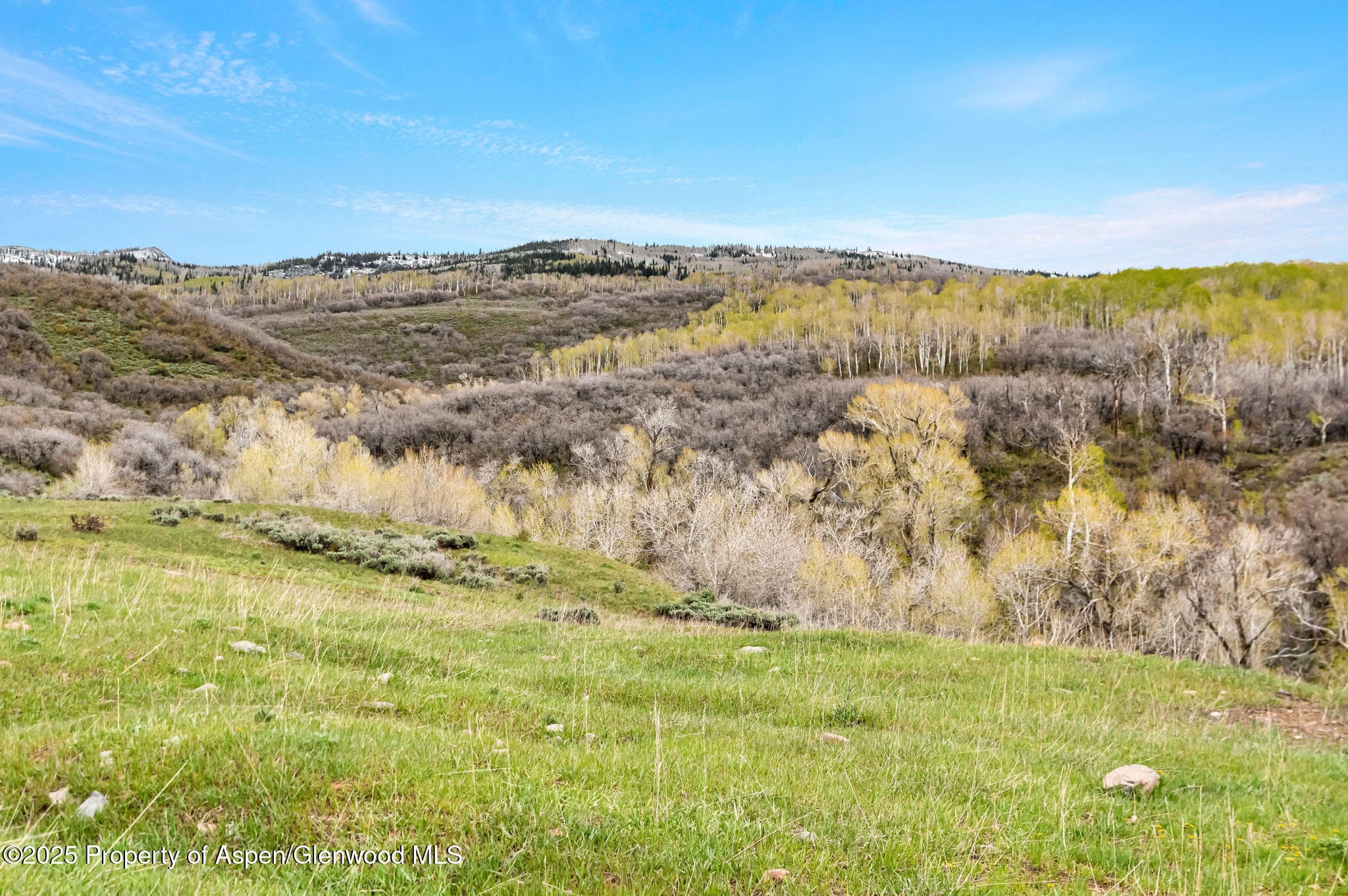 Tbd County Road 80, Hayden, CO 81639 - Photo 6