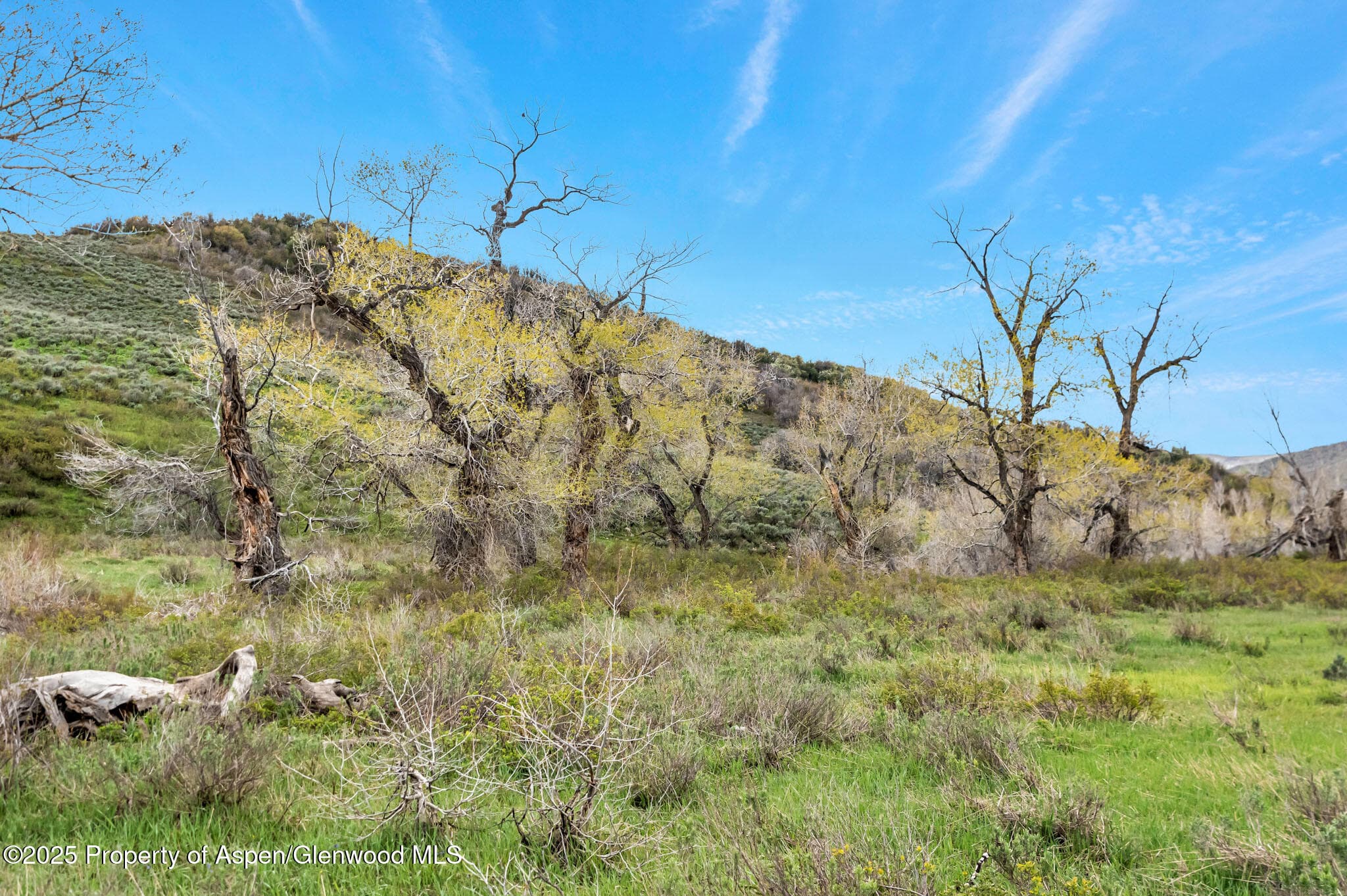 Tbd County Road 80, Hayden, CO 81639 - Photo 7