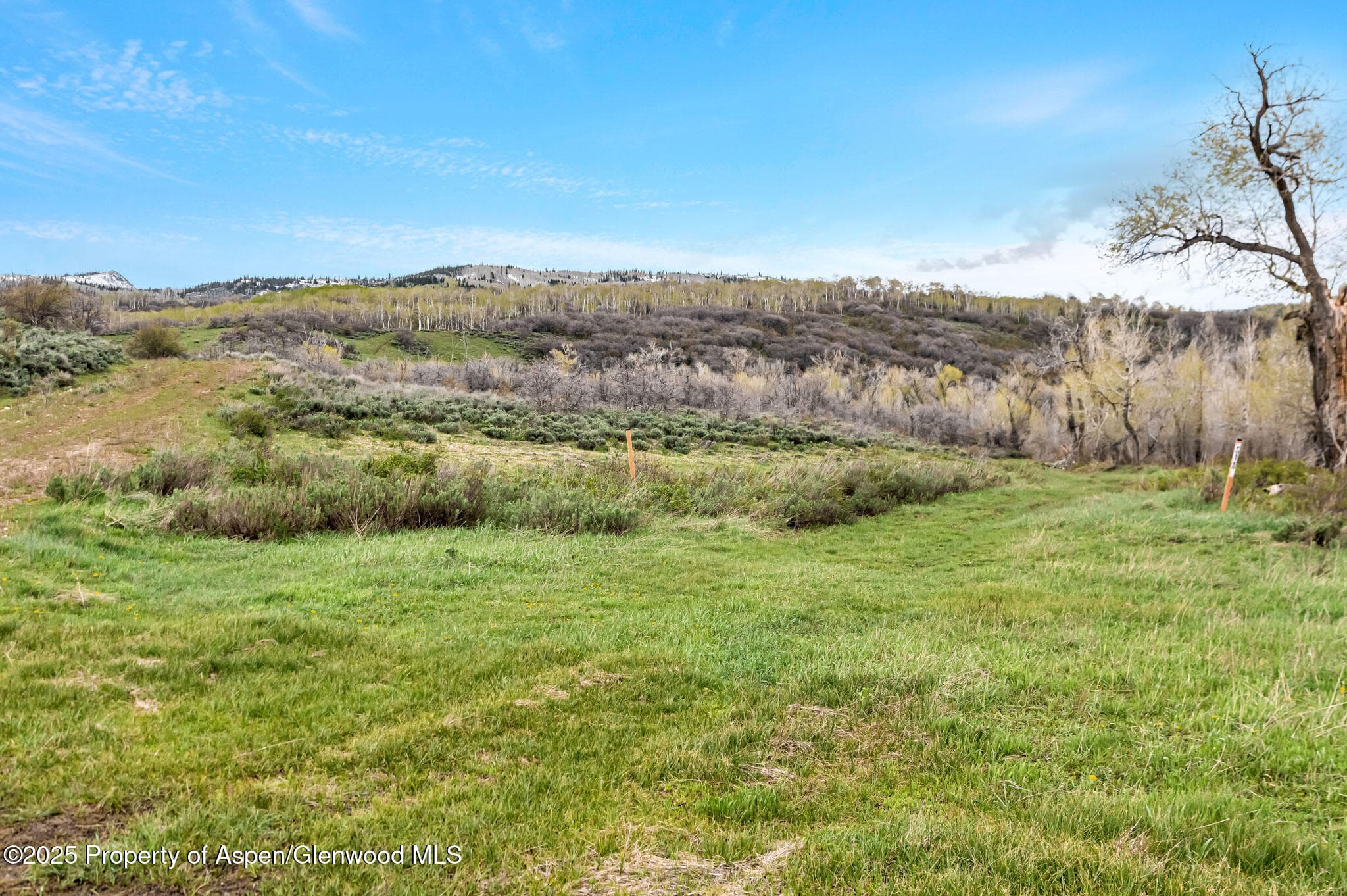 Tbd County Road 80, Hayden, CO 81639 - Photo 8