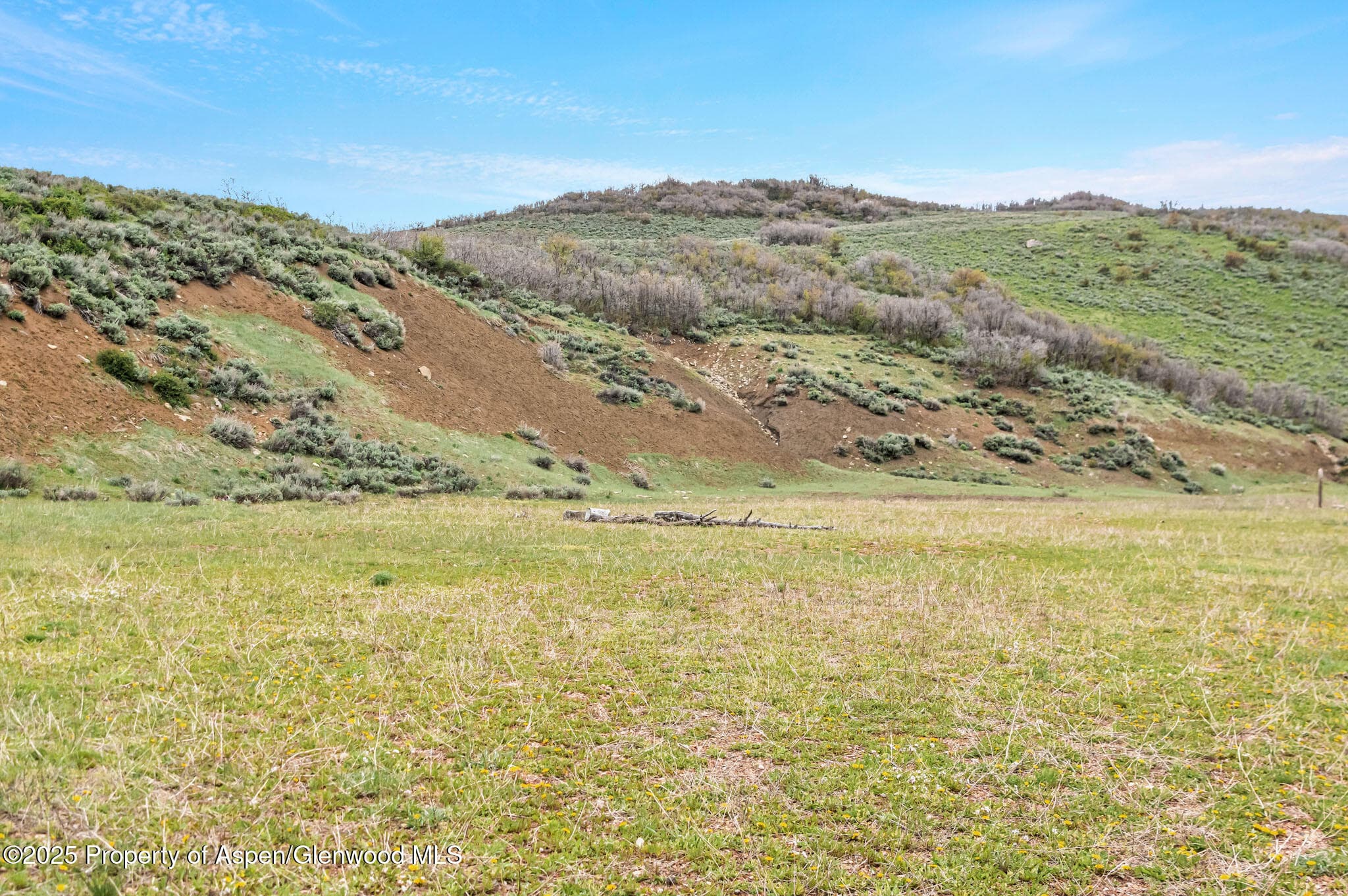 Tbd County Road 80, Hayden, CO 81639 - Photo 10