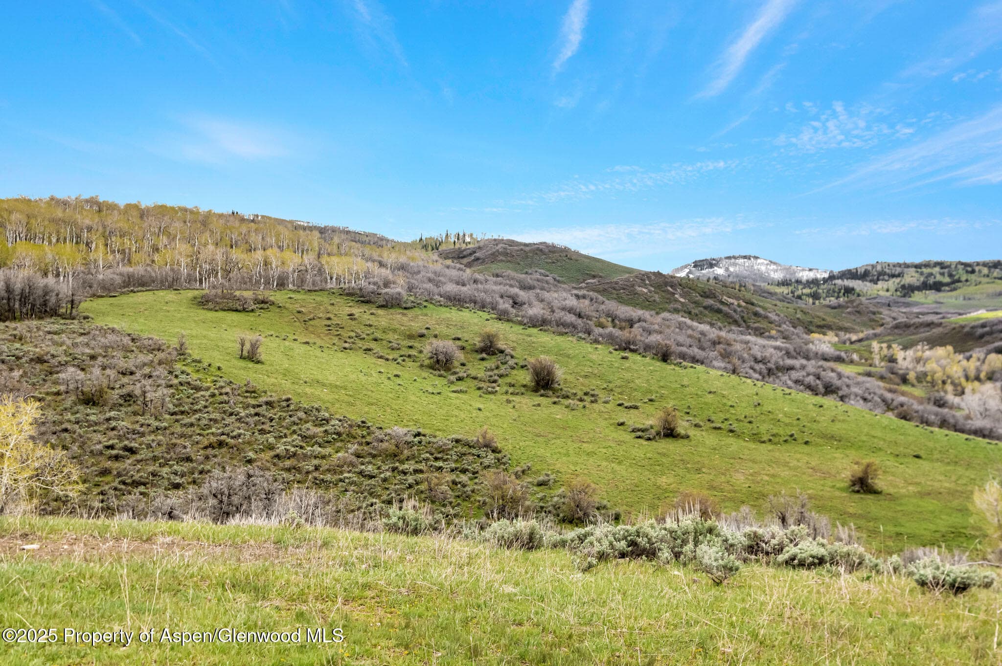 Tbd County Road 80, Hayden, CO 81639 - Photo 14