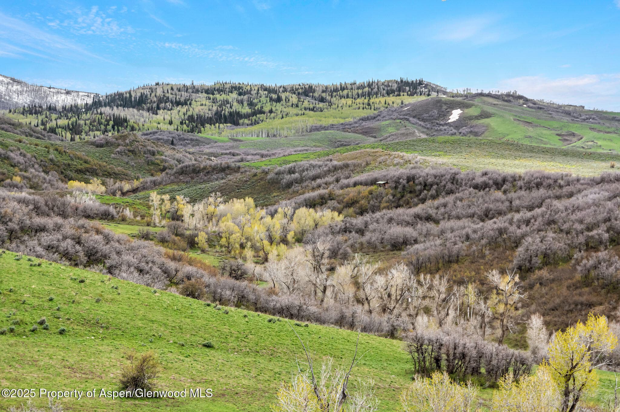 Tbd County Road 80, Hayden, CO 81639 - Photo 15