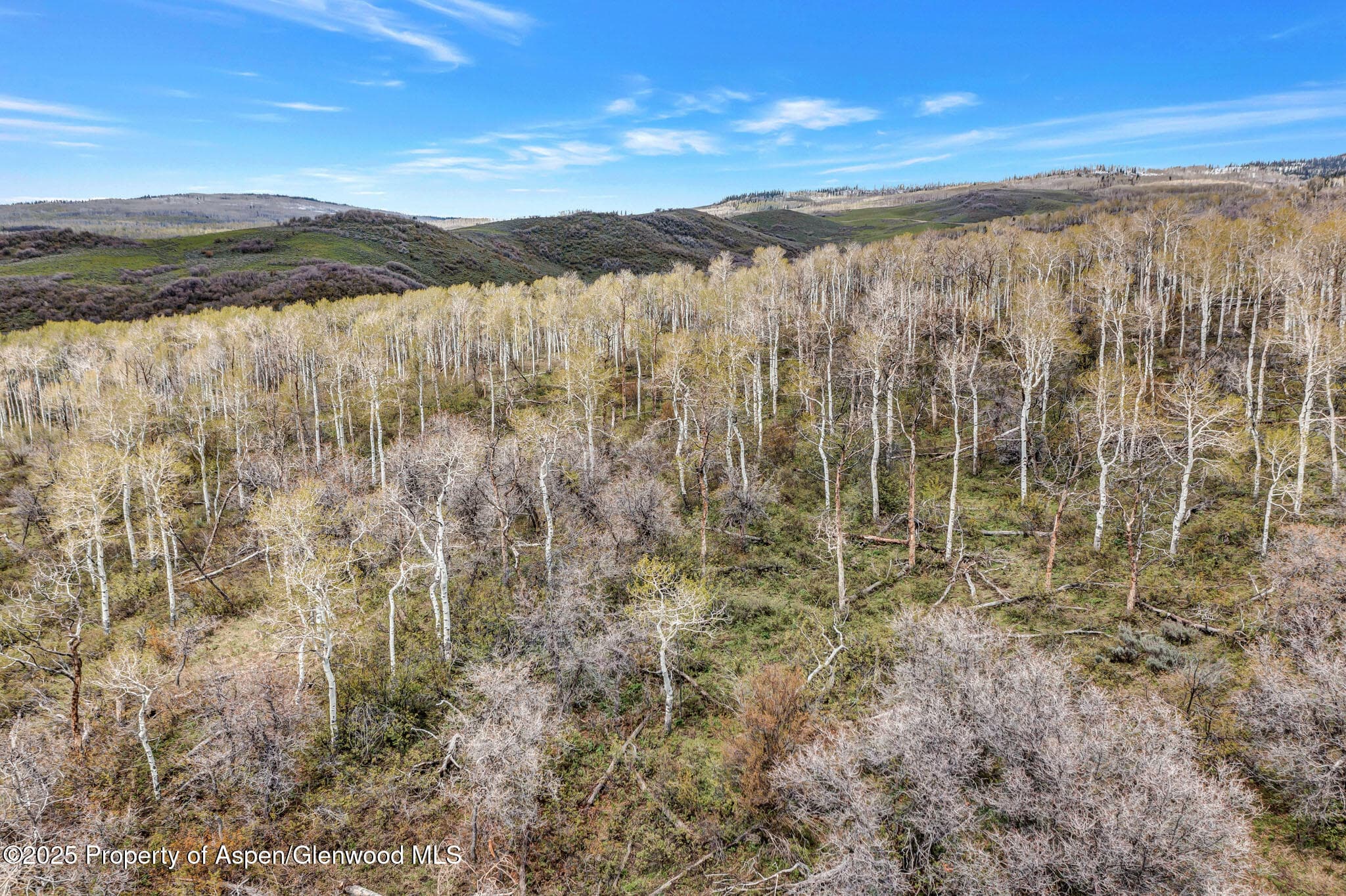 Tbd County Road 80, Hayden, CO 81639 - Photo 25