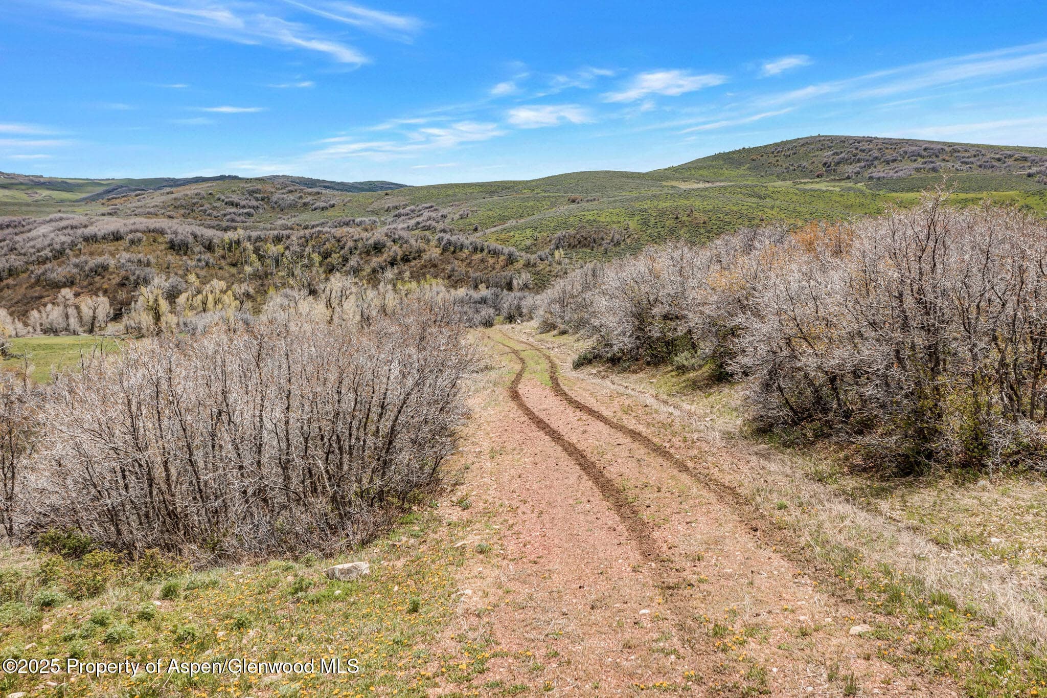 Tbd County Road 80, Hayden, CO 81639 - Photo 28