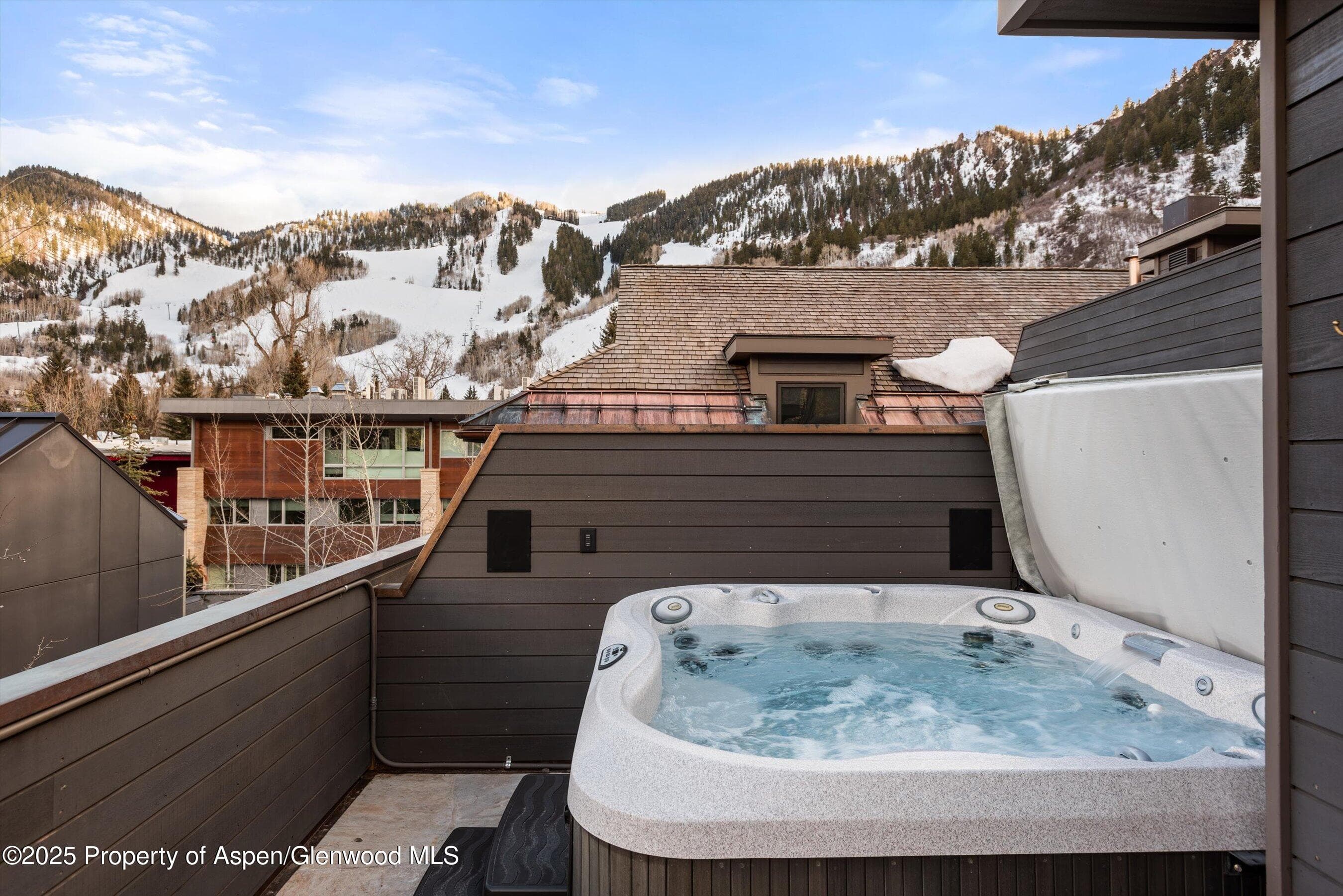 304 S GARMISCH Street, Aspen, CO 81611 - Photo 30