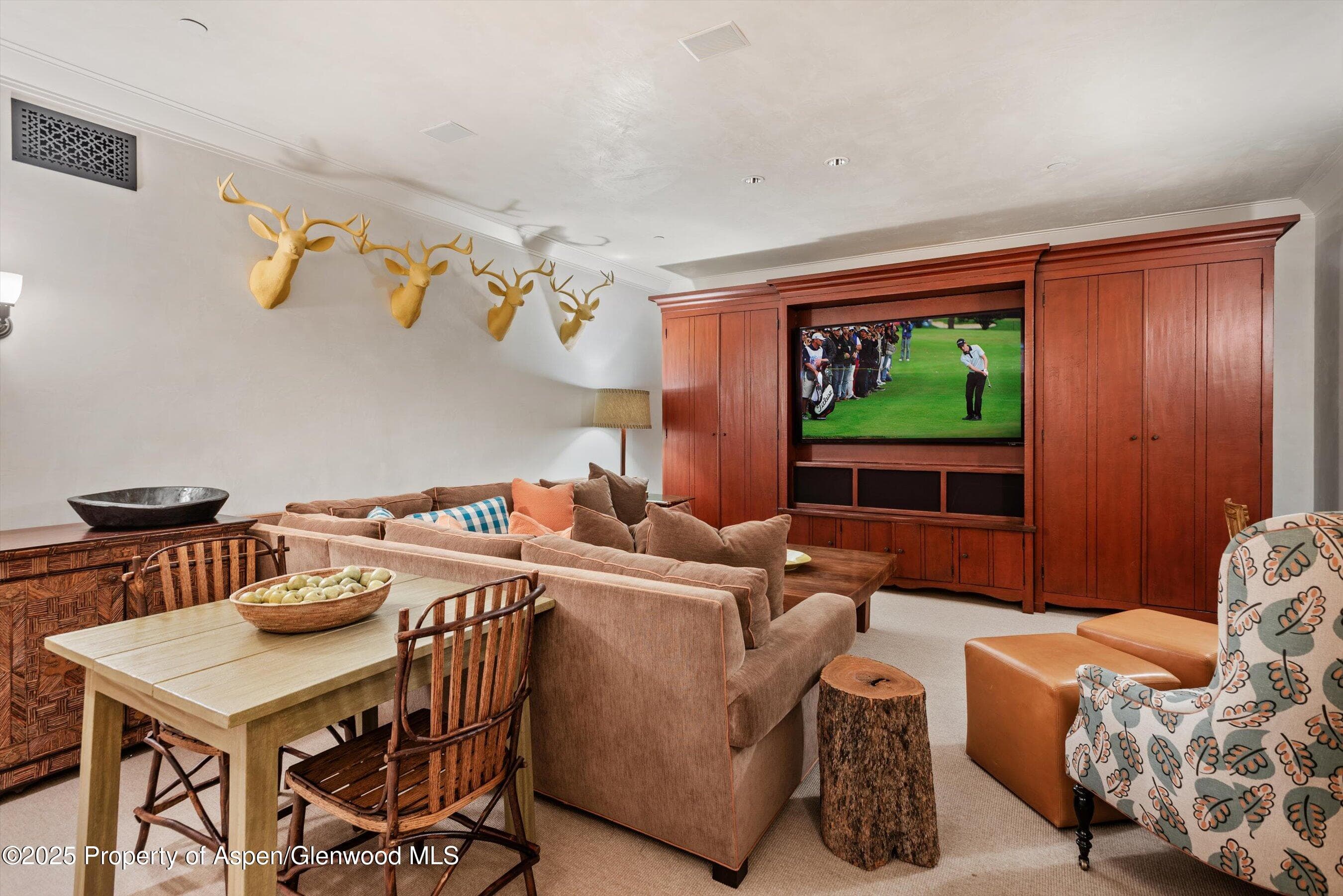304 S GARMISCH Street, Aspen, CO 81611 - Photo 22