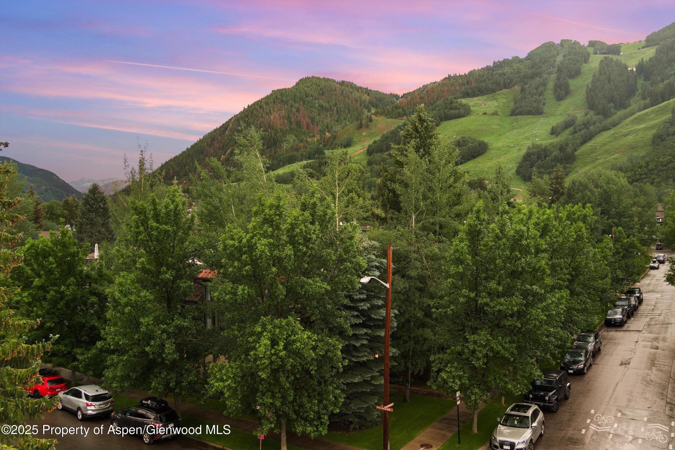 304 S GARMISCH Street, Aspen, CO 81611 - Photo 29