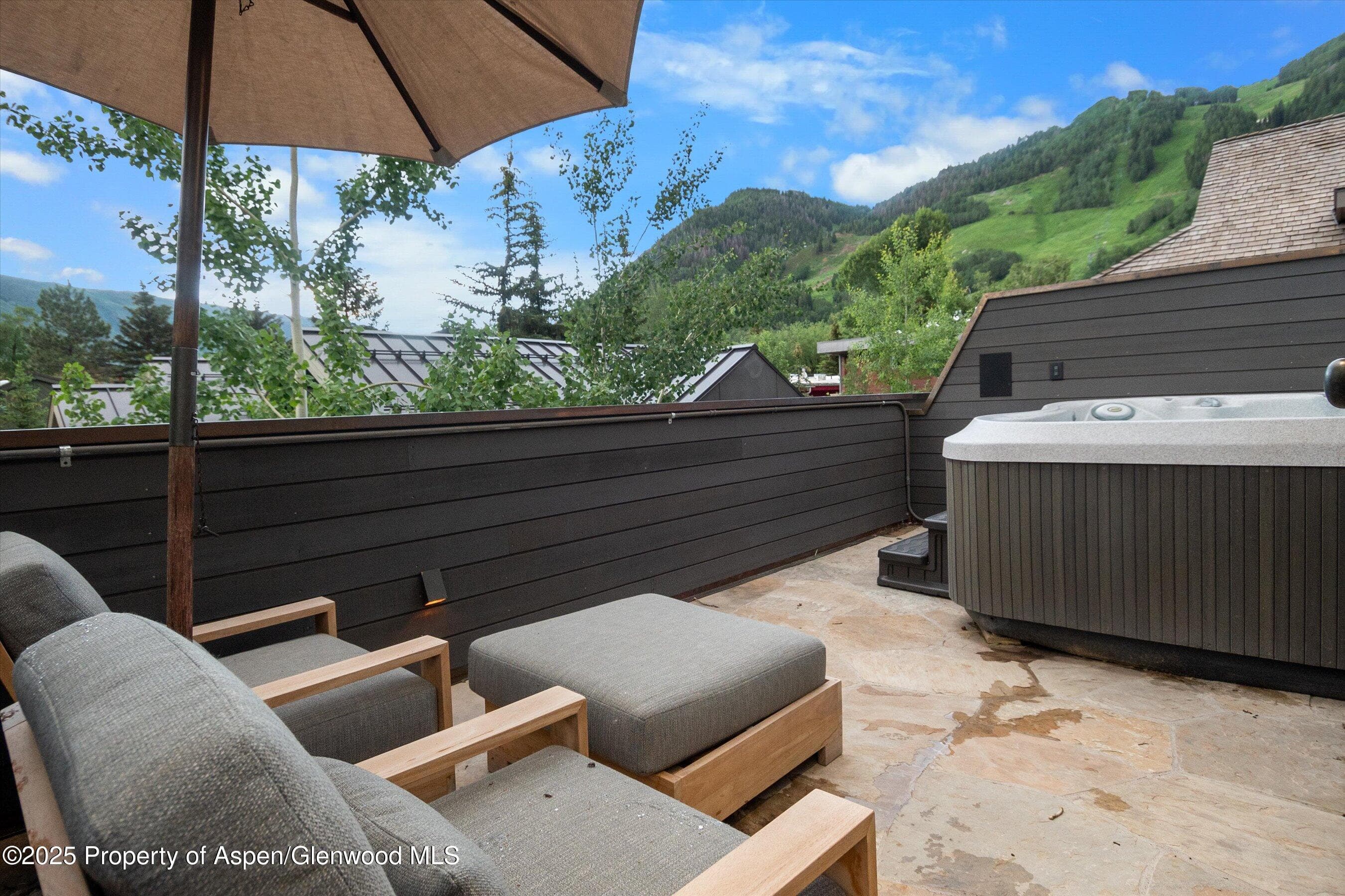 304 S GARMISCH Street, Aspen, CO 81611 - Photo 32