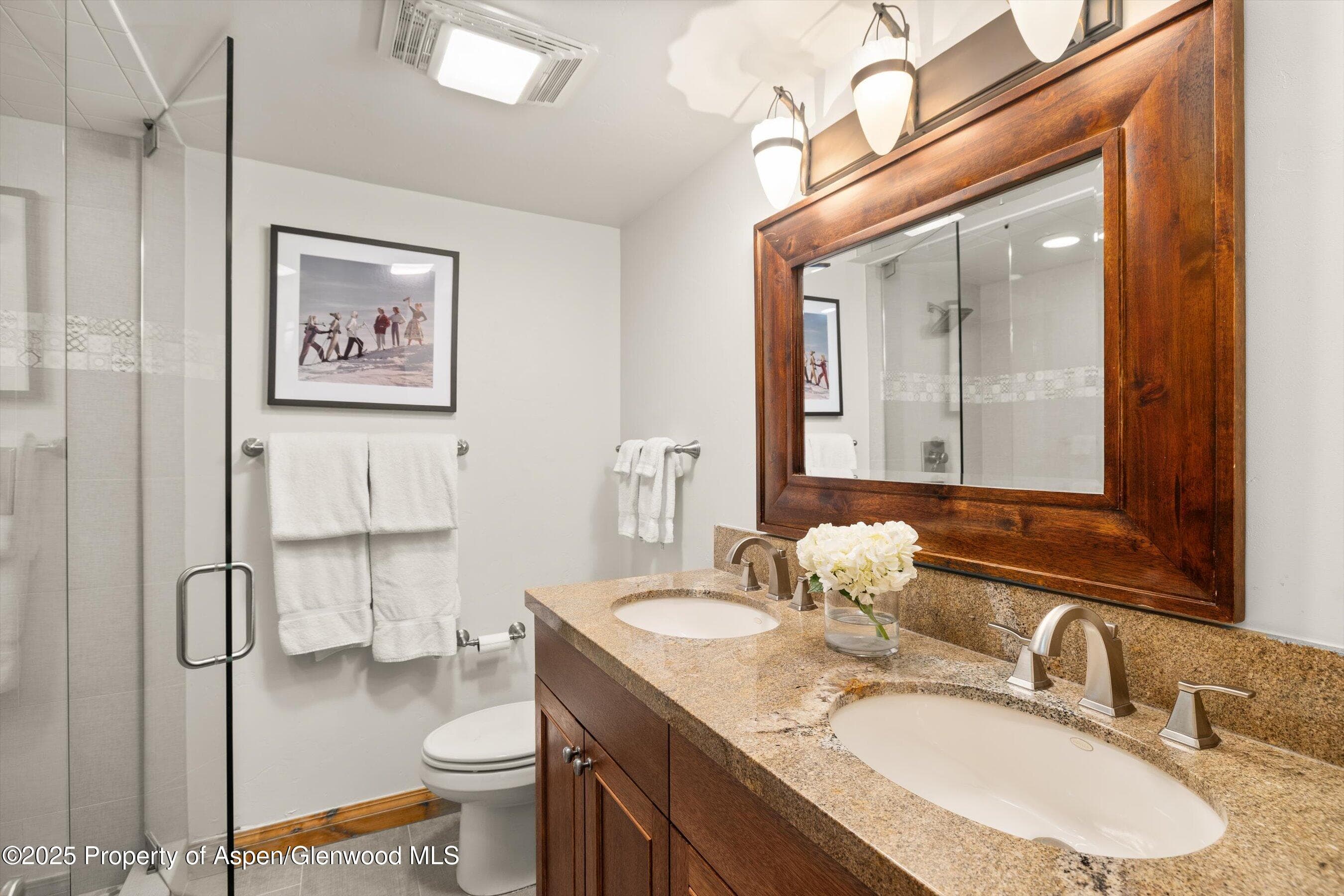 1039 E Cooper Avenue 21a, Aspen, CO 81611 - Photo 19