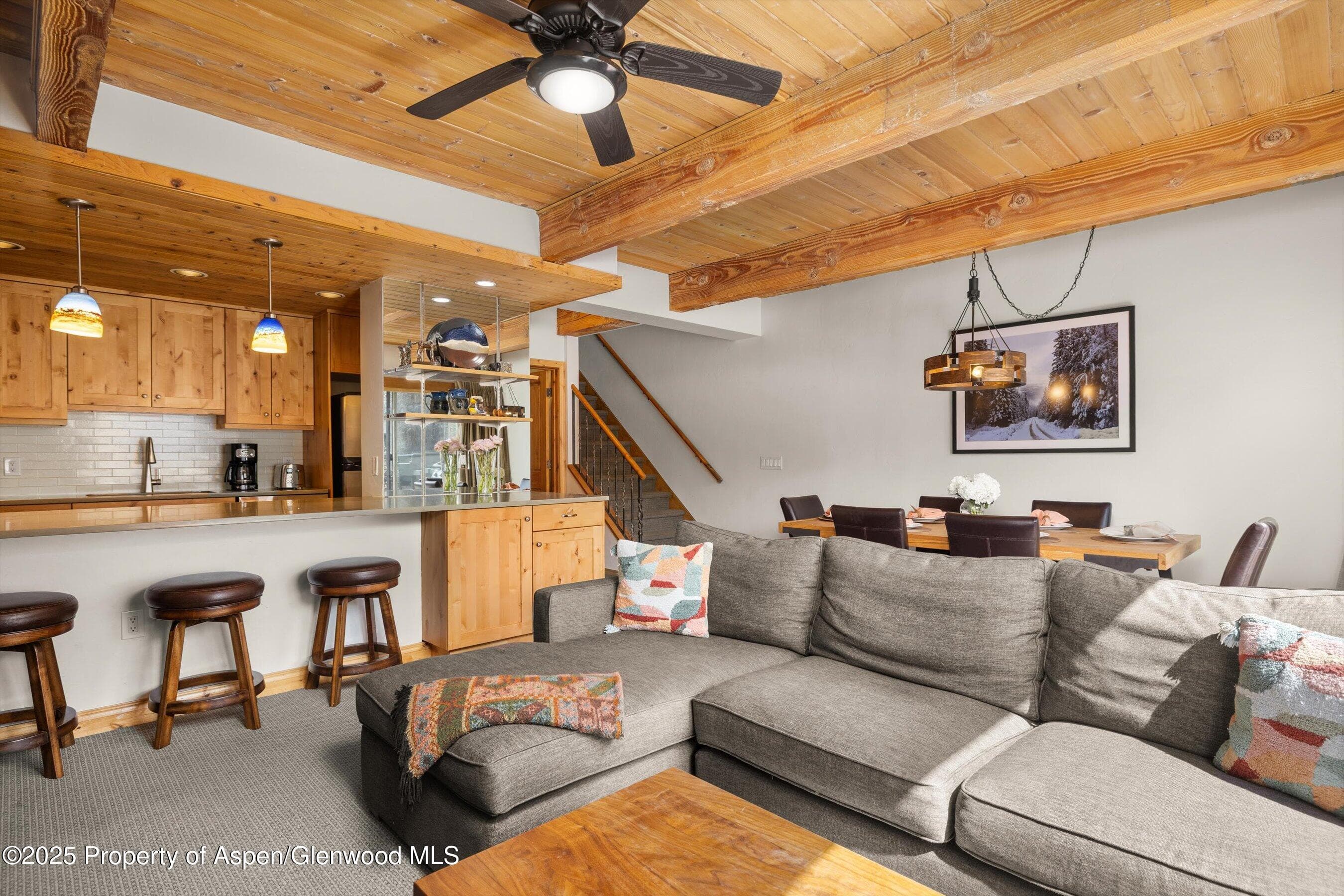 1039 E Cooper Avenue 21a, Aspen, CO 81611 - Photo 8