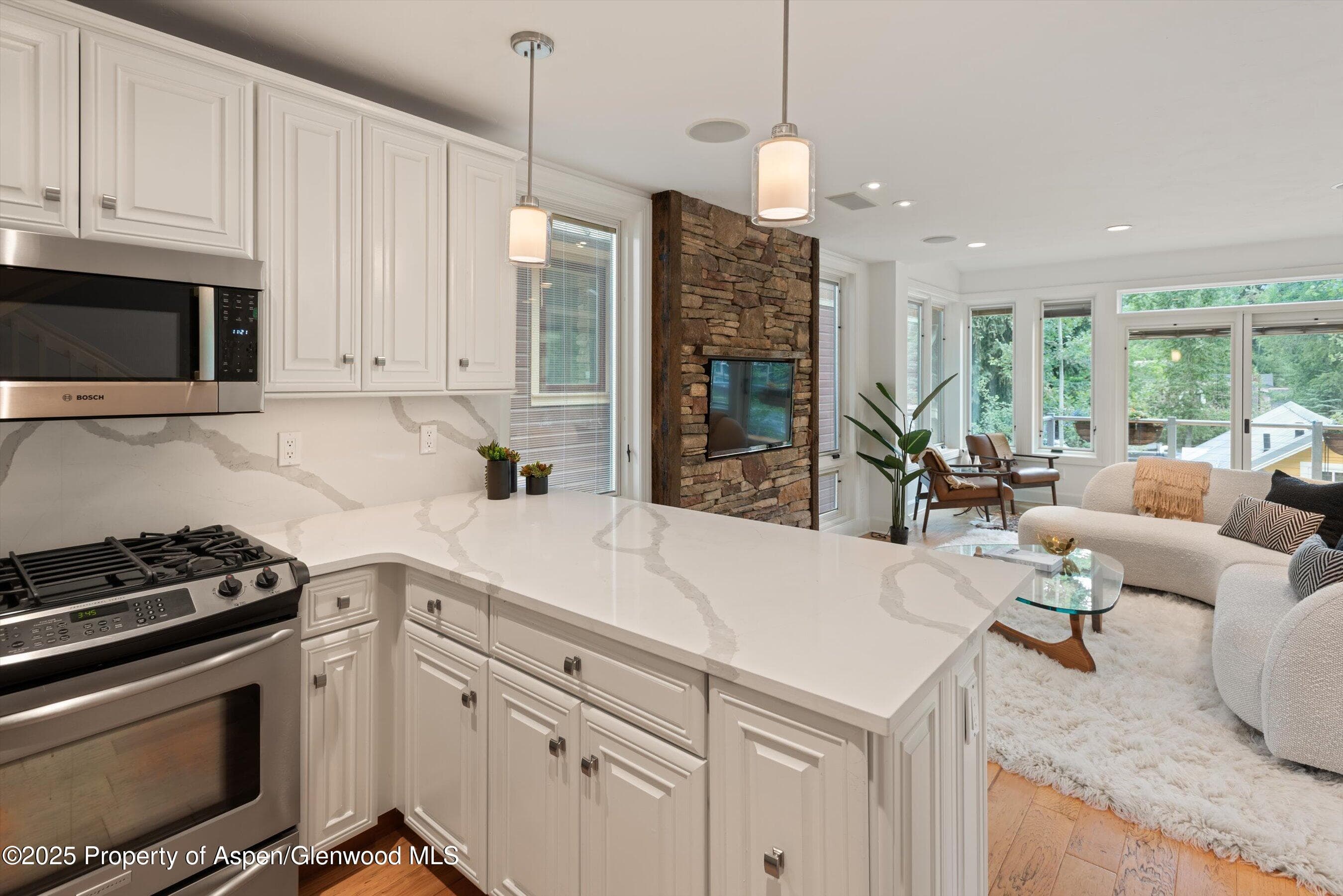 111 S Sixth Street Street, Aspen, CO 81611 - Photo 17