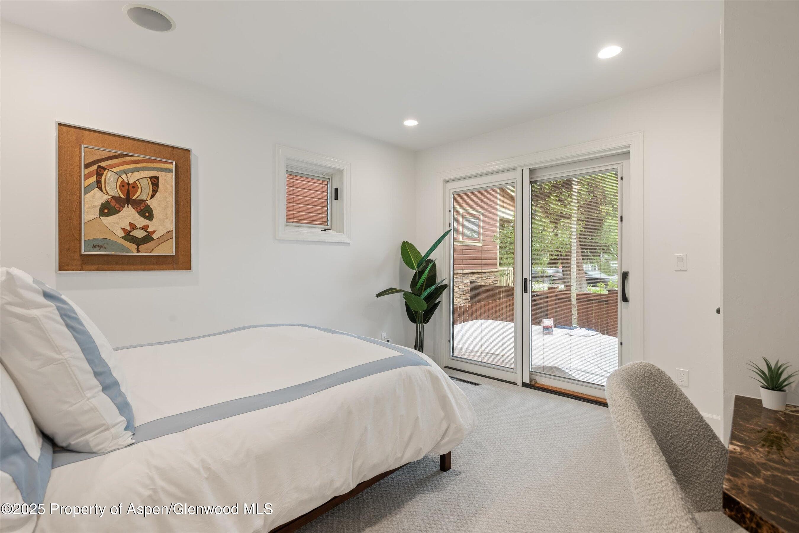 111 S Sixth Street Street, Aspen, CO 81611 - Photo 24