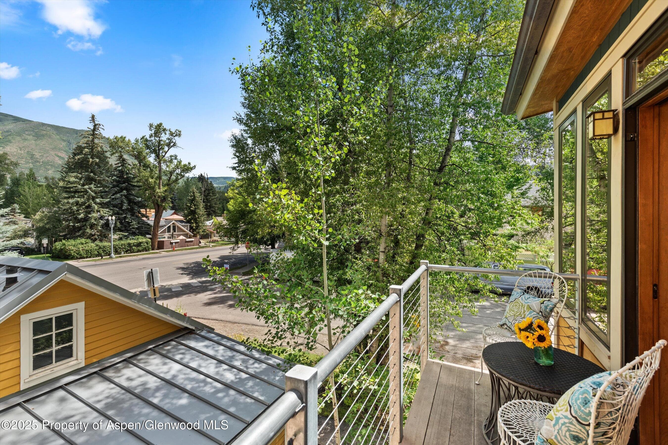 111 S Sixth Street Street, Aspen, CO 81611 - Photo 34