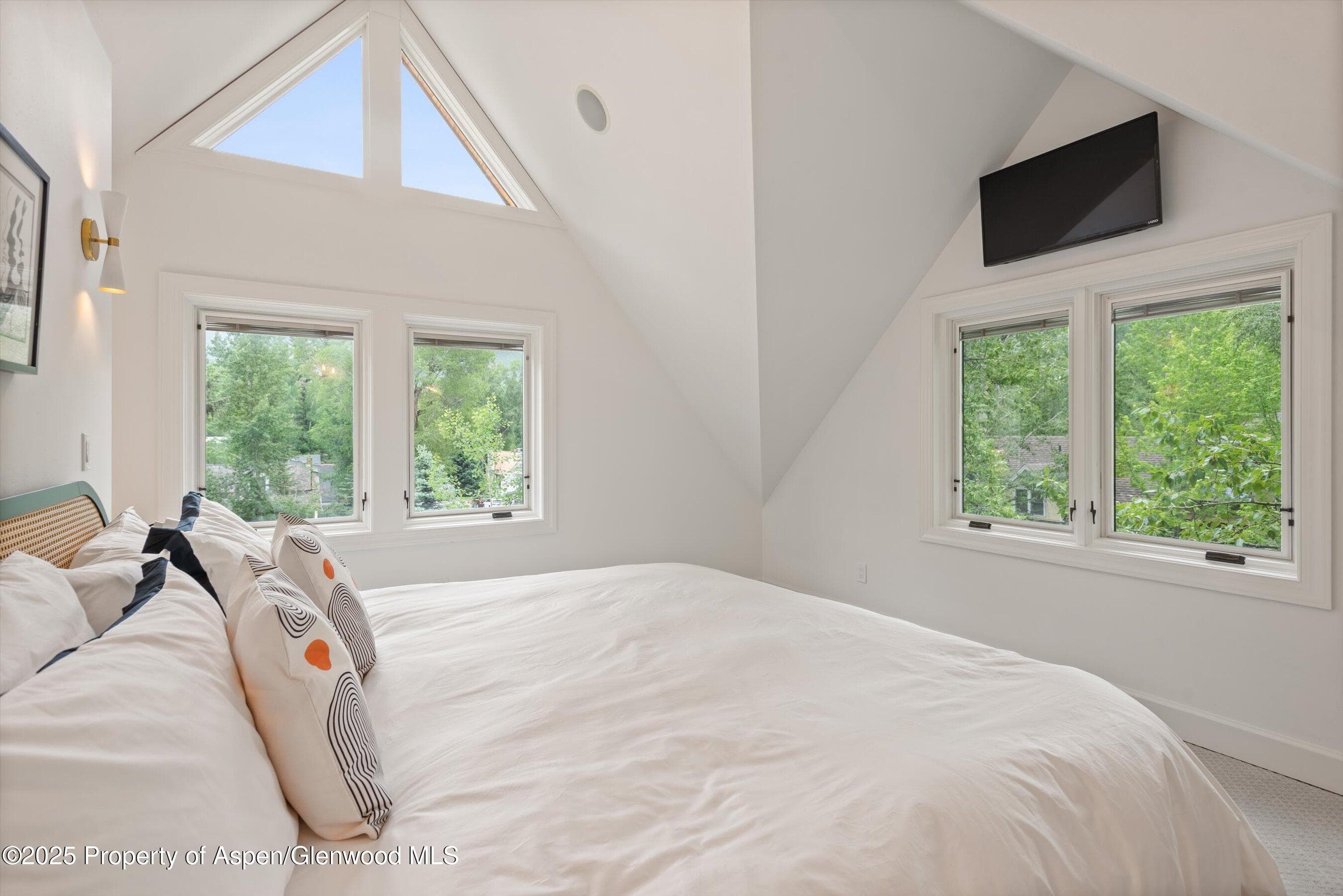 111 S Sixth Street Street, Aspen, CO 81611 - Photo 45