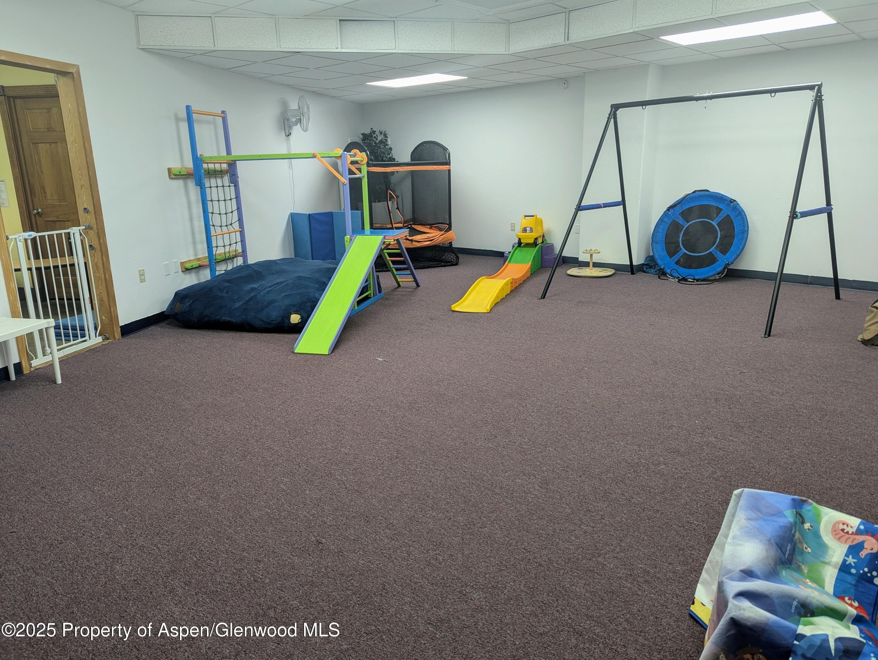 1001 Grand Avenue 004, Glenwood Springs, CO 81601 - Photo 3