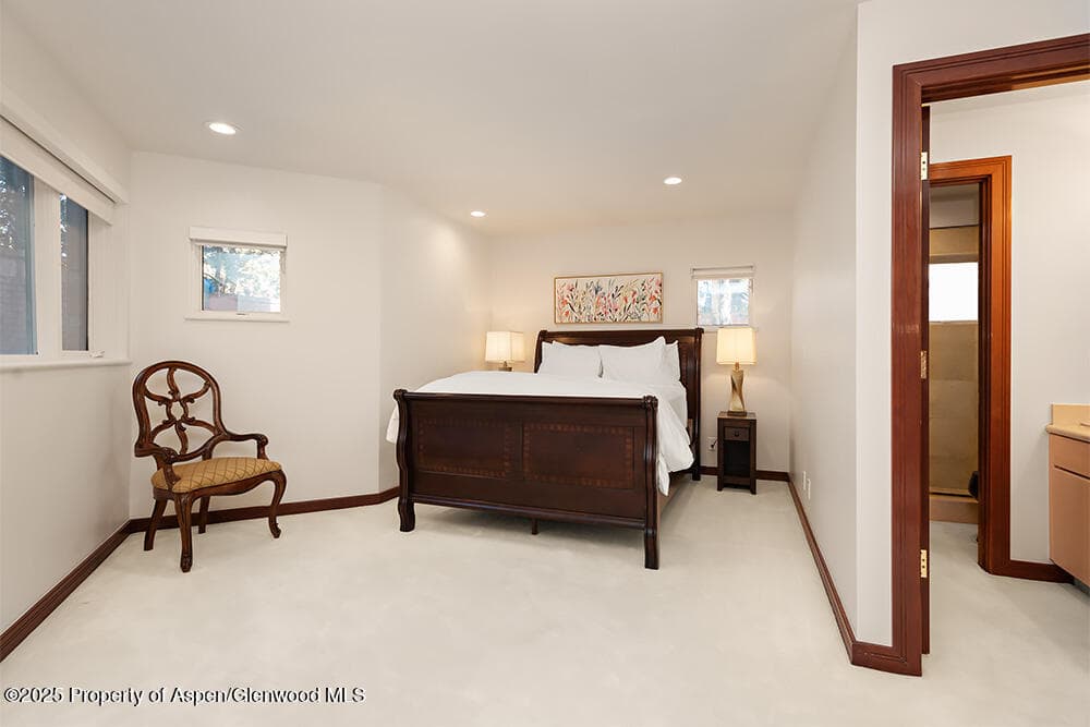 208 S Spring Street #1, Aspen, CO 81611 - Photo 20