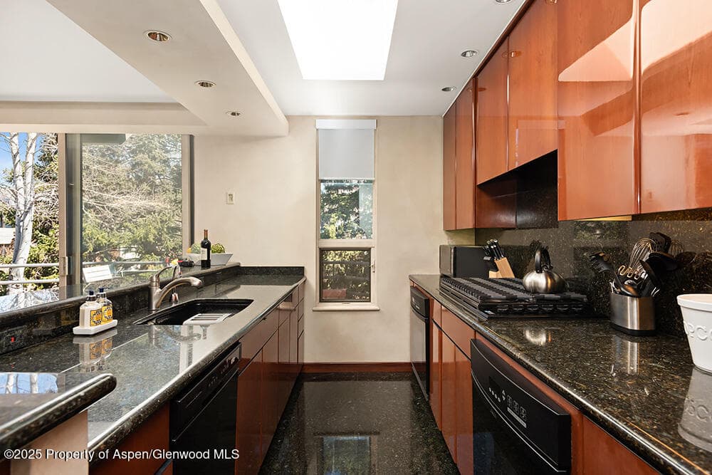 208 S Spring Street #1, Aspen, CO 81611 - Photo 4